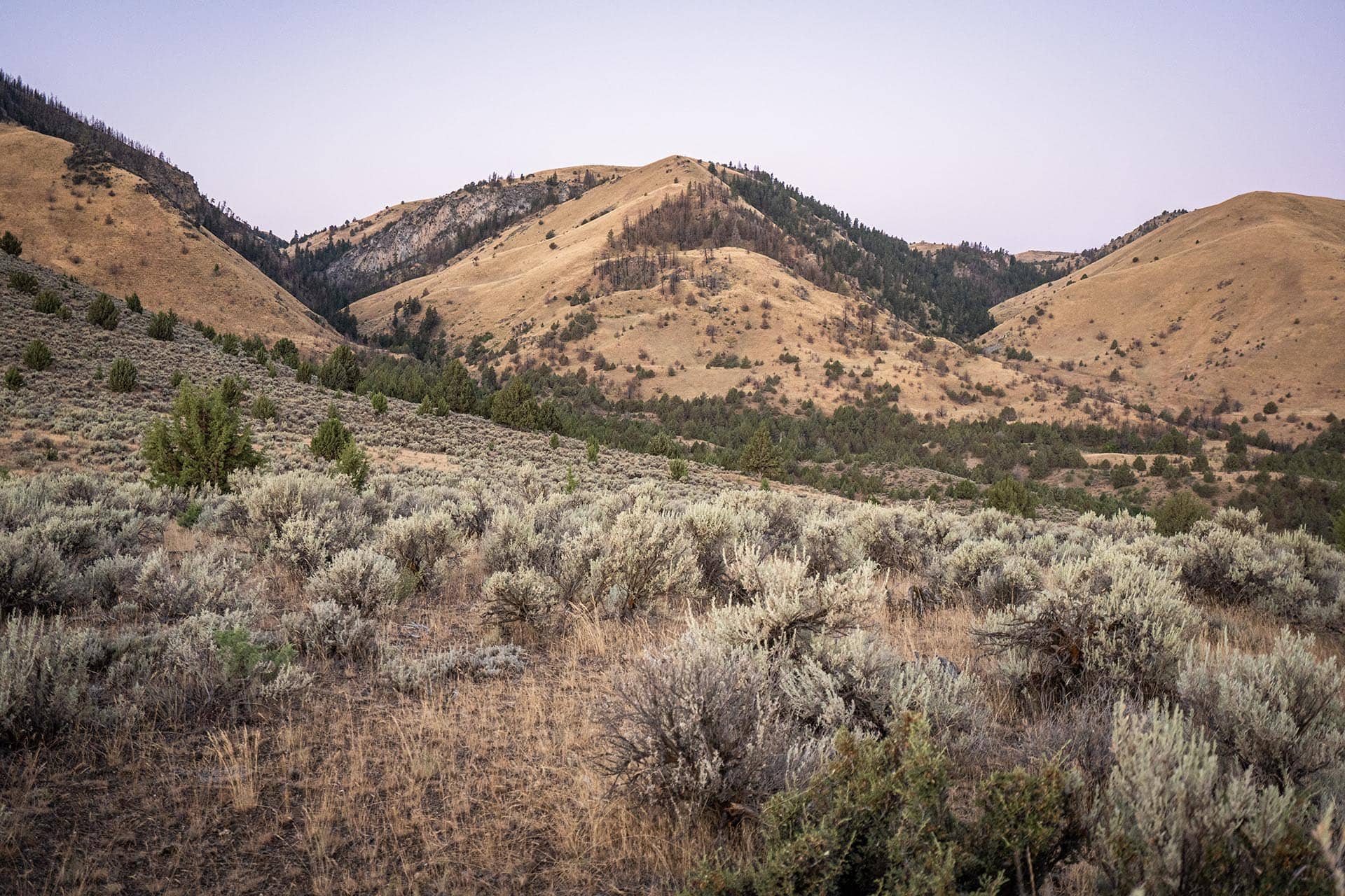 sagebrush rangeland hunting sporting oregon powell creek ranch