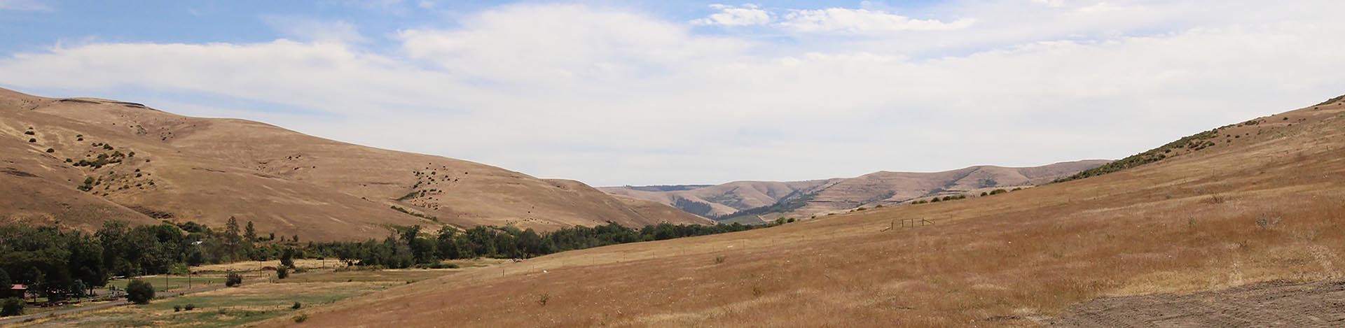 Wide view of dry rolling hills with brown grass, a tree line in the valley, and a blue sky above.