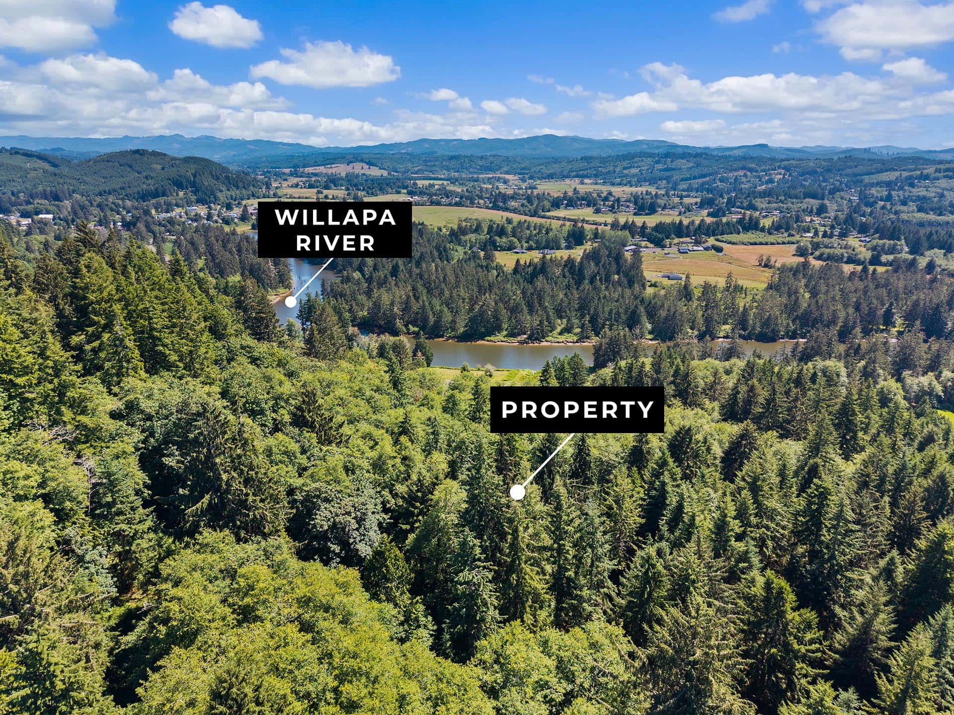 Aerial view of a valley with a winding river, dense forest, and fields; overlaid with bold labels 'WILLAPA RIVER' and 'PROPERTY'.