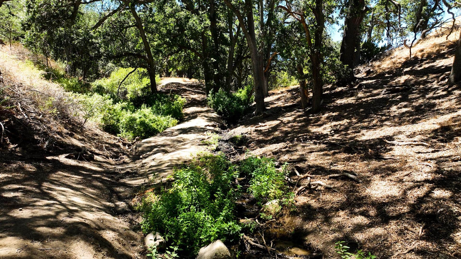 shade california gorman post ranch