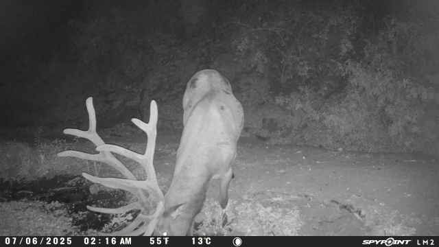 southern california ranch for sale with elk california gorman post ranch