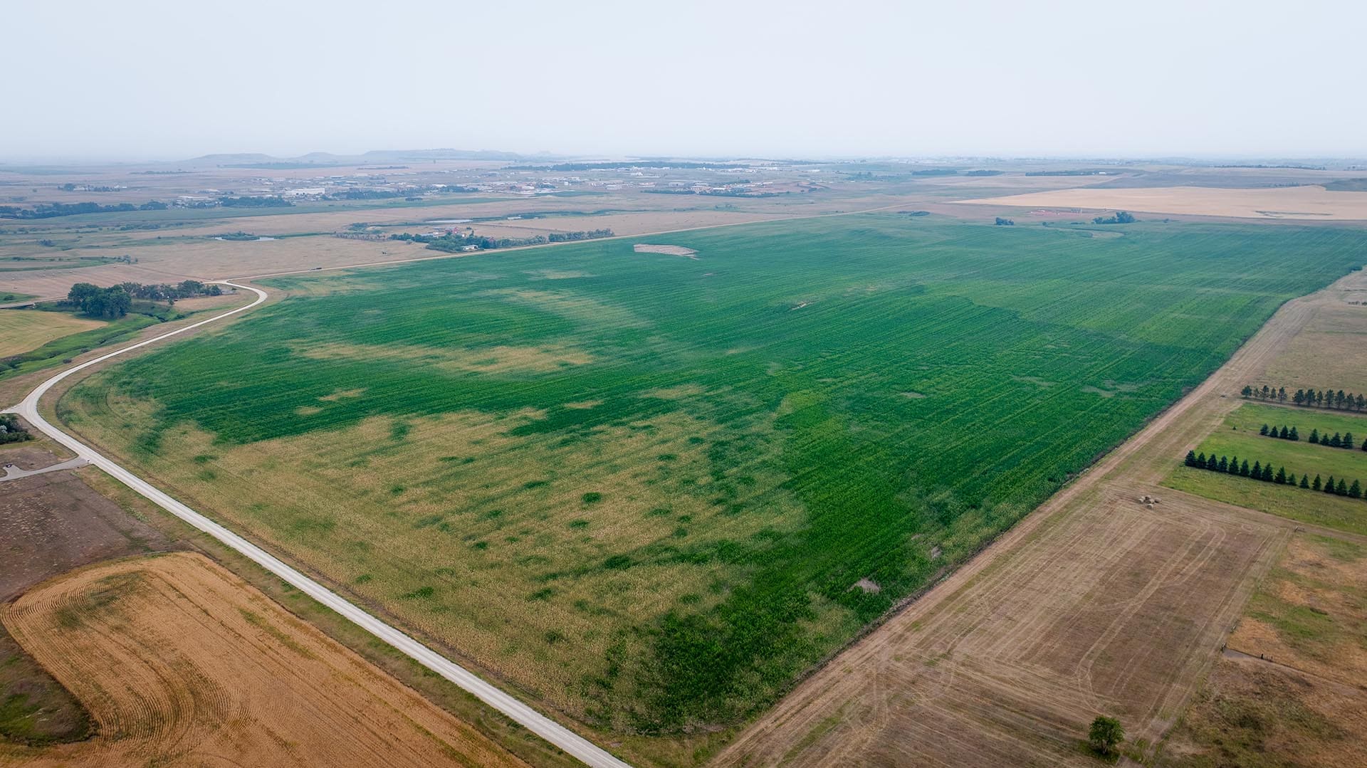 Aerial view of vast farmland with green fields, brown harvested plots, a winding road, and a distant town on the horizon.