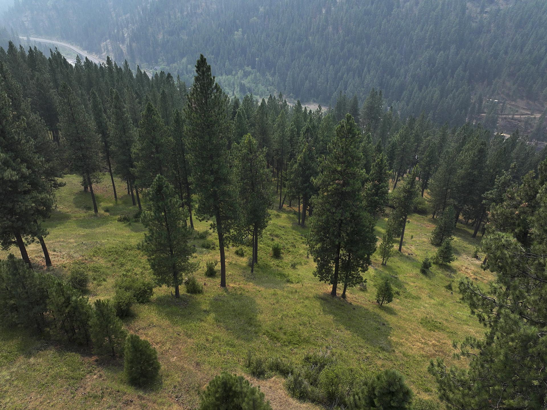 steelhead fishing retreat for sale idaho little salmon river lodge