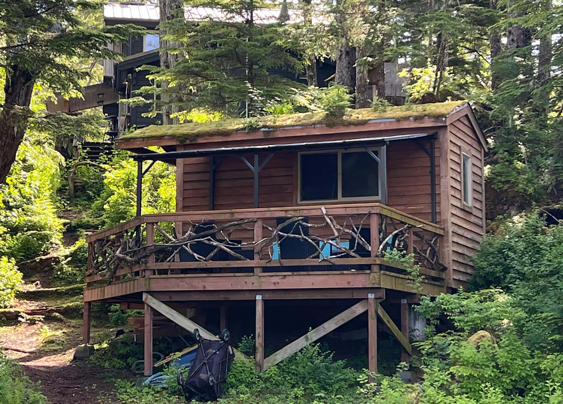 Wooden cabin built on stilts in a dense forest, with a mossy roof and a carved wooden railing along the balcony edge.