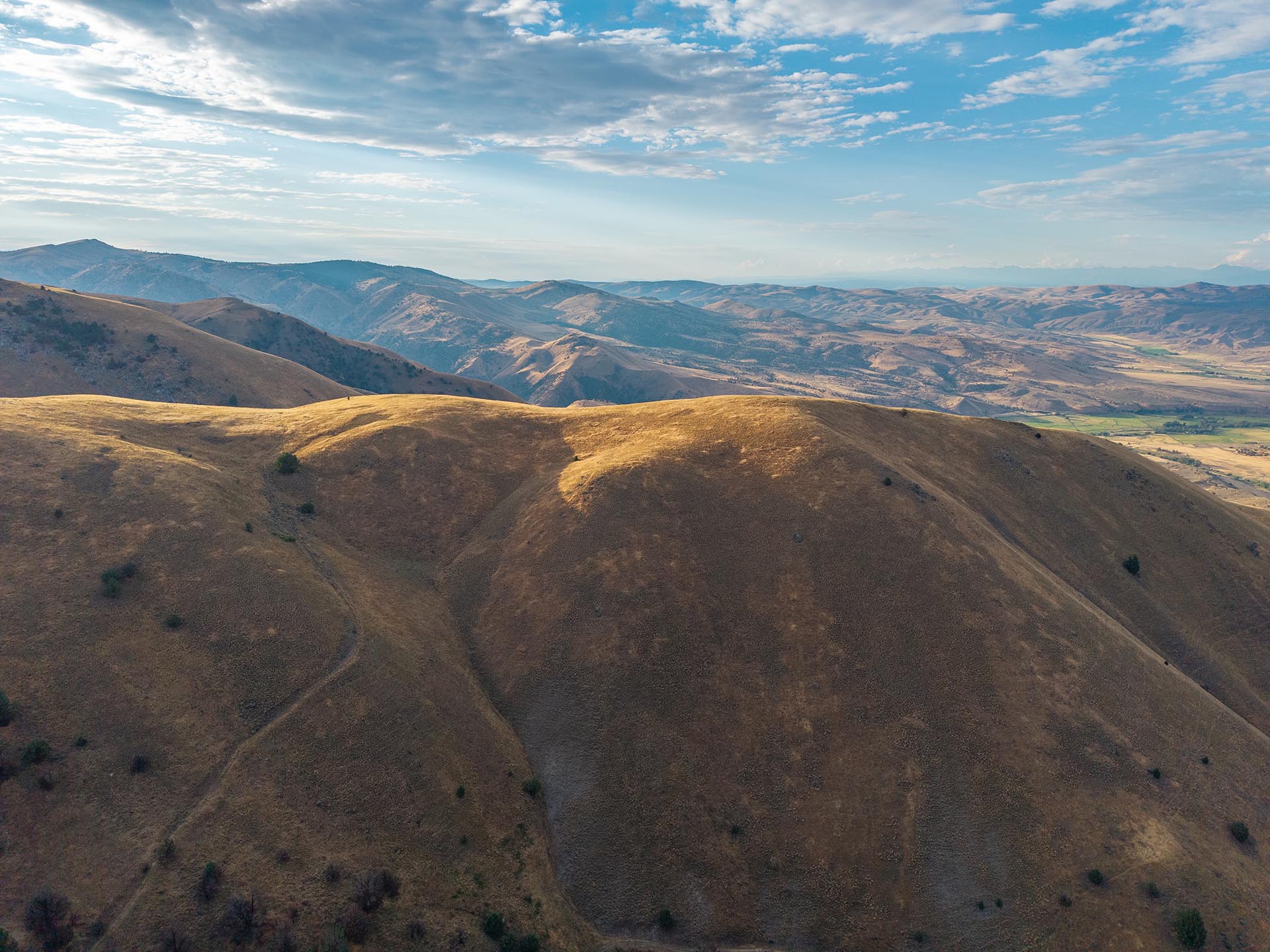 sunlit rolling hills hunting sporting oregon powell creek ranch