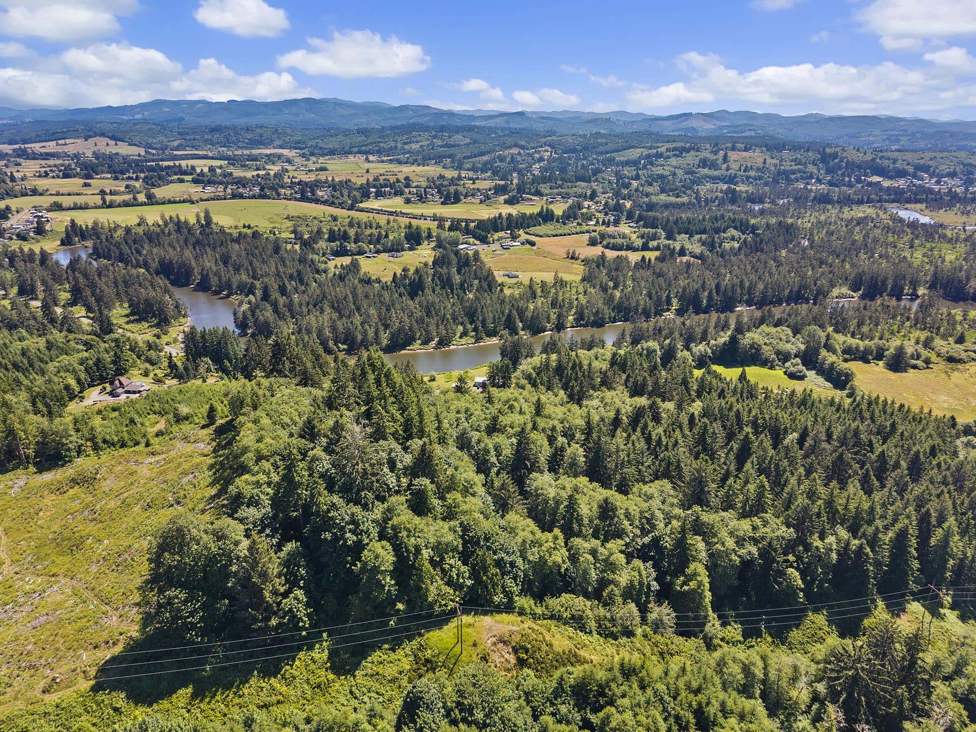 timbered hunting land near raymond washington tall timber on willapa ridge