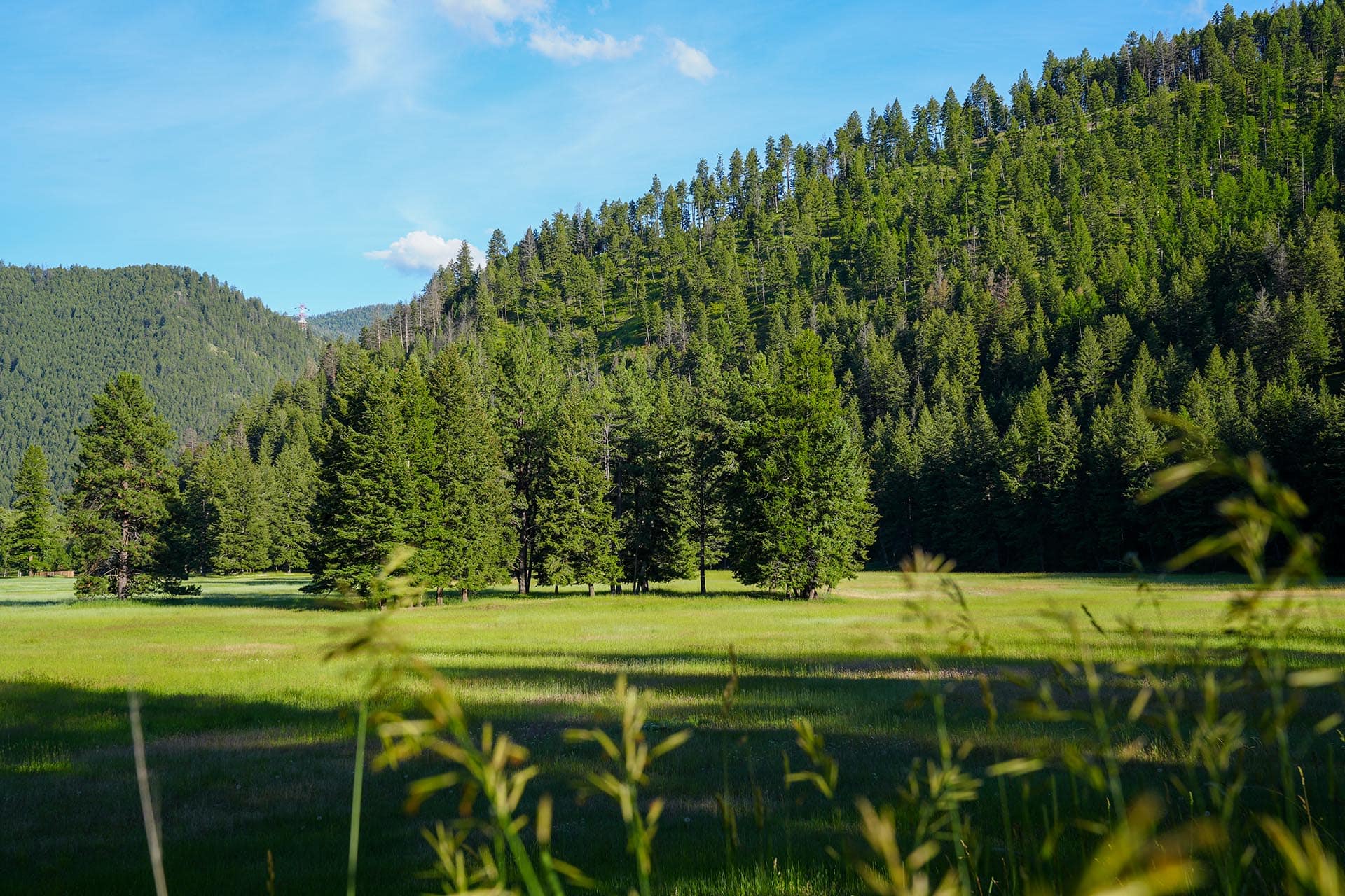 timbered pasture montana rock clark ranch
