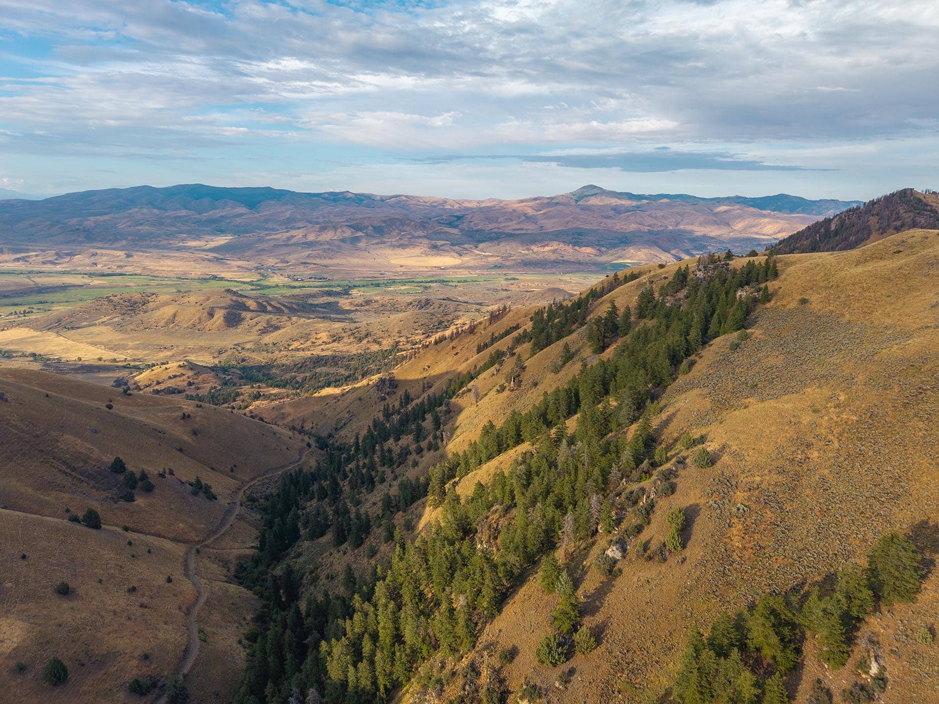 timbered valley access road hunting sporting property for sale oregon powell creek ranch