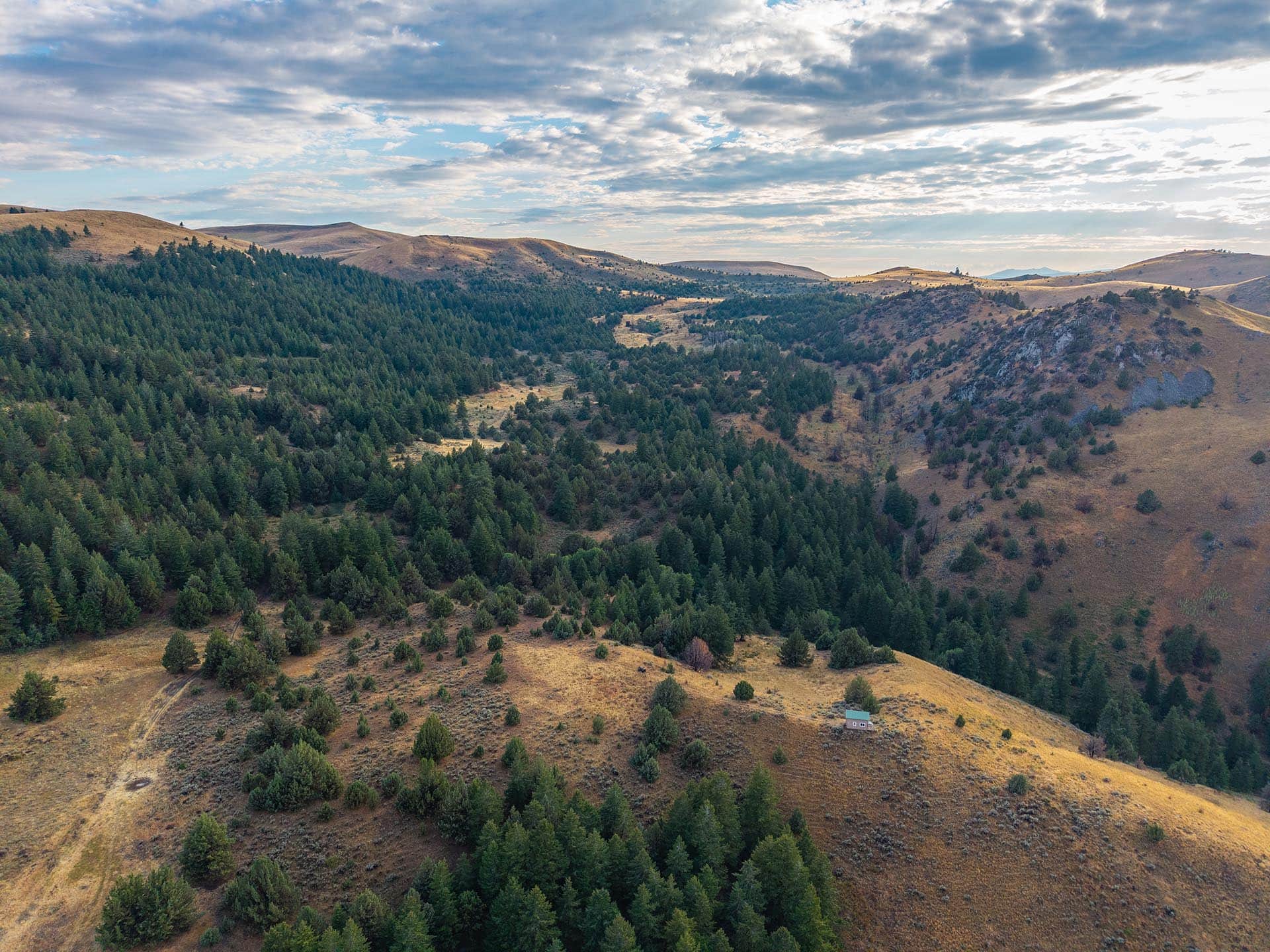 timbered valley with water trough land oregon powell creek ranch