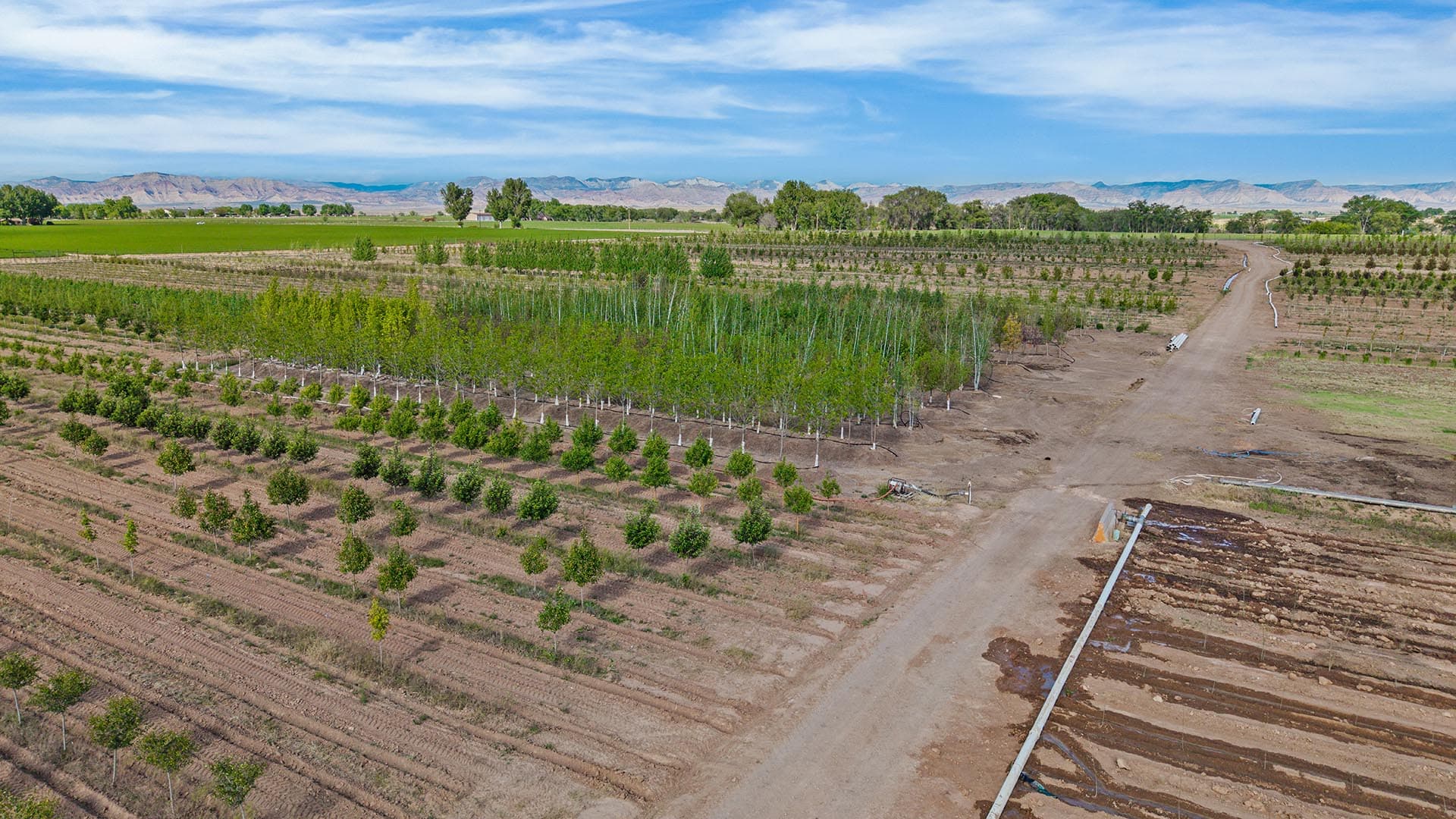 tree farm cultivated land for sale co valley grown nursery