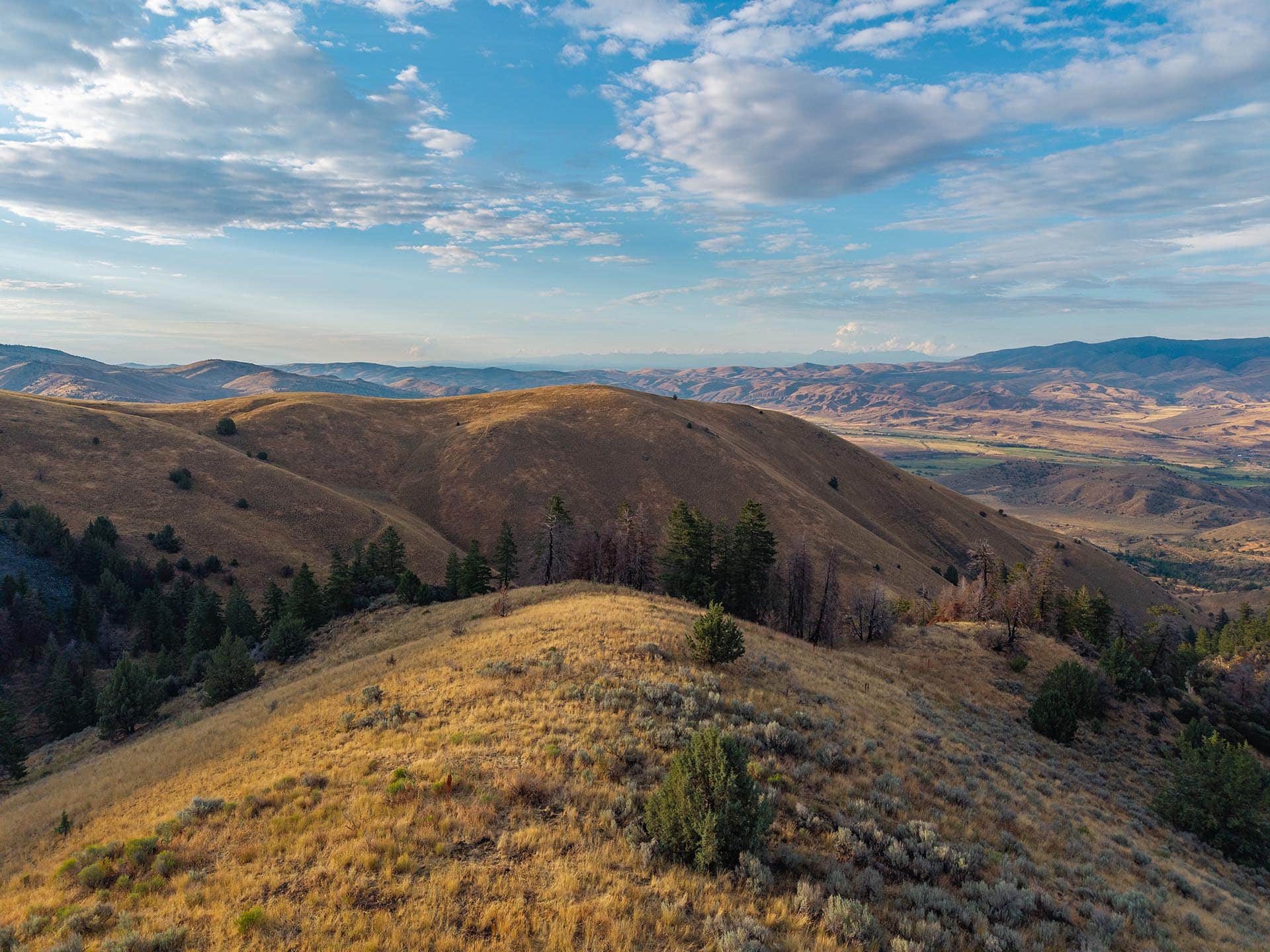vast timbered hills hunting sporting for sale oregon powell creek ranch