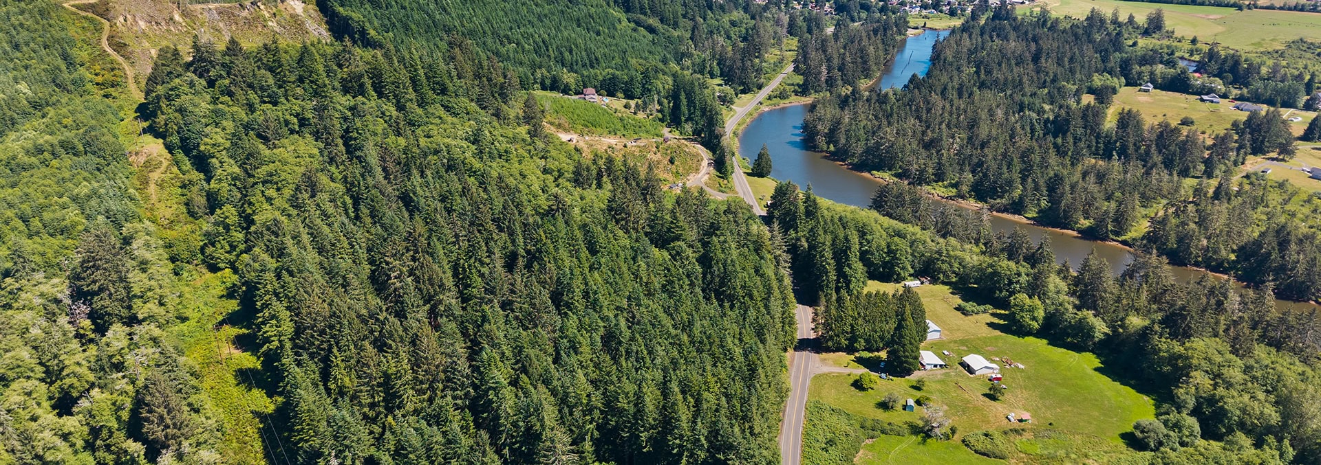 washington property for sale tall timber on willapa ridge