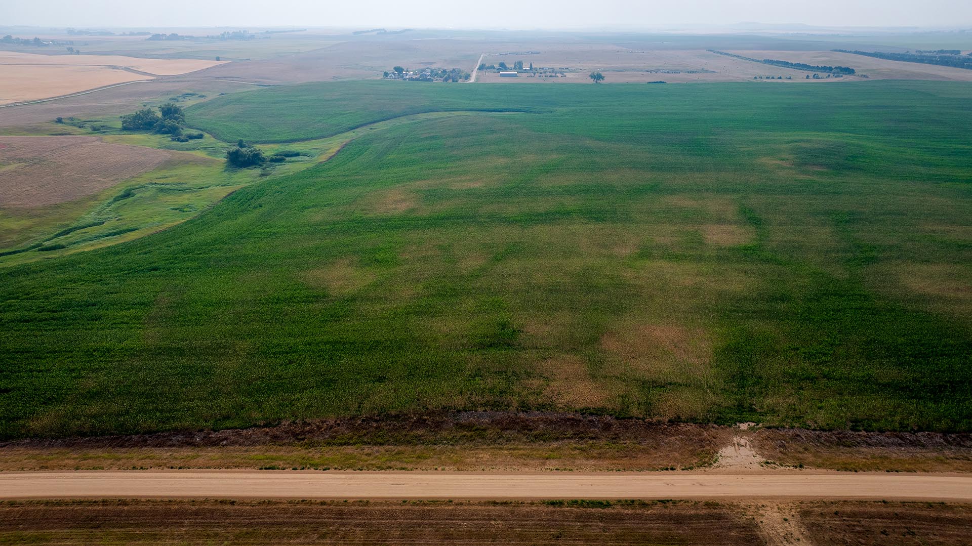 Aerial view of green and brown farmland with a dirt road at the bottom and distant farm buildings on the horizon.