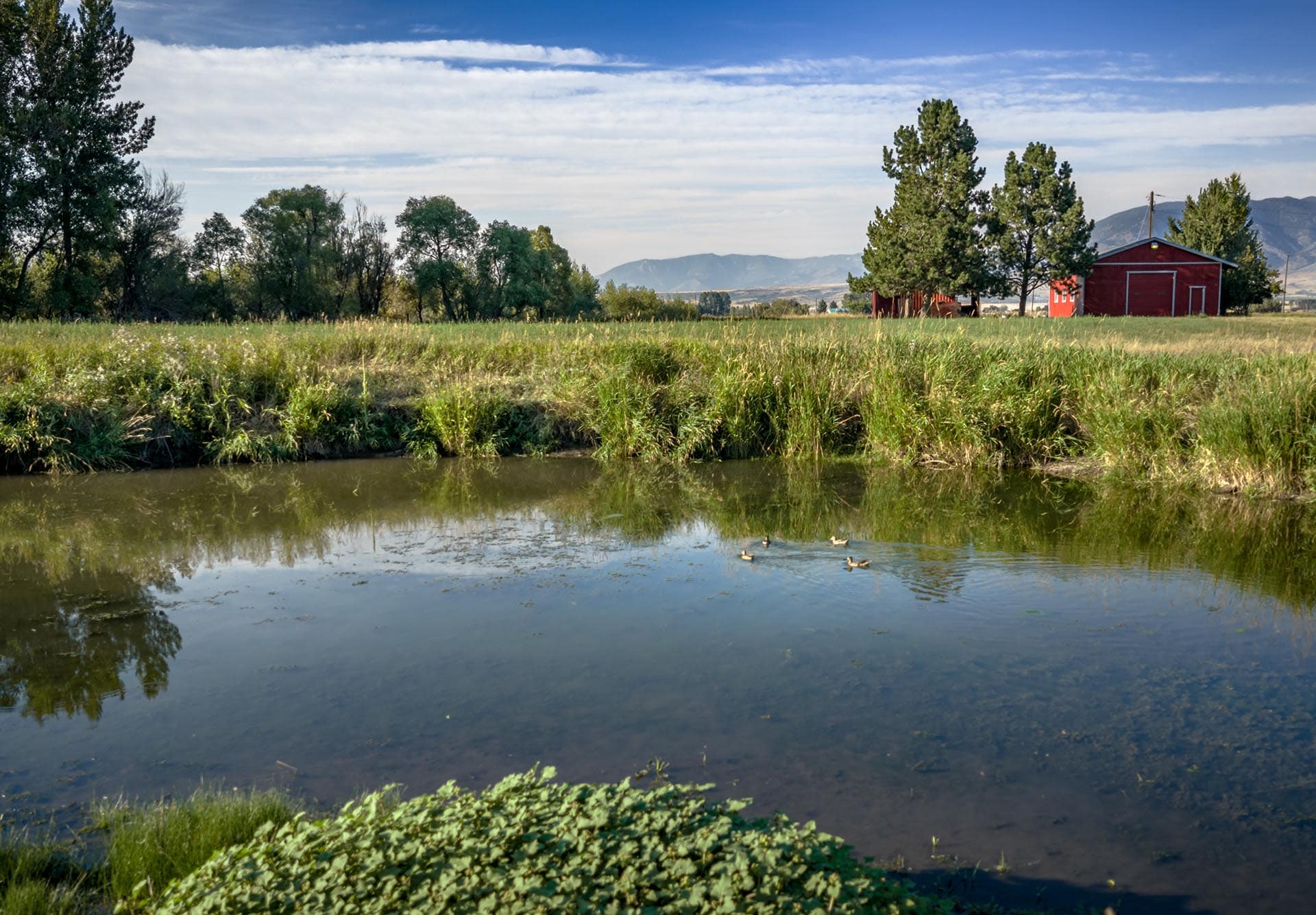waterfowl habitat with barn and mountain views montana east gallatin riverlands