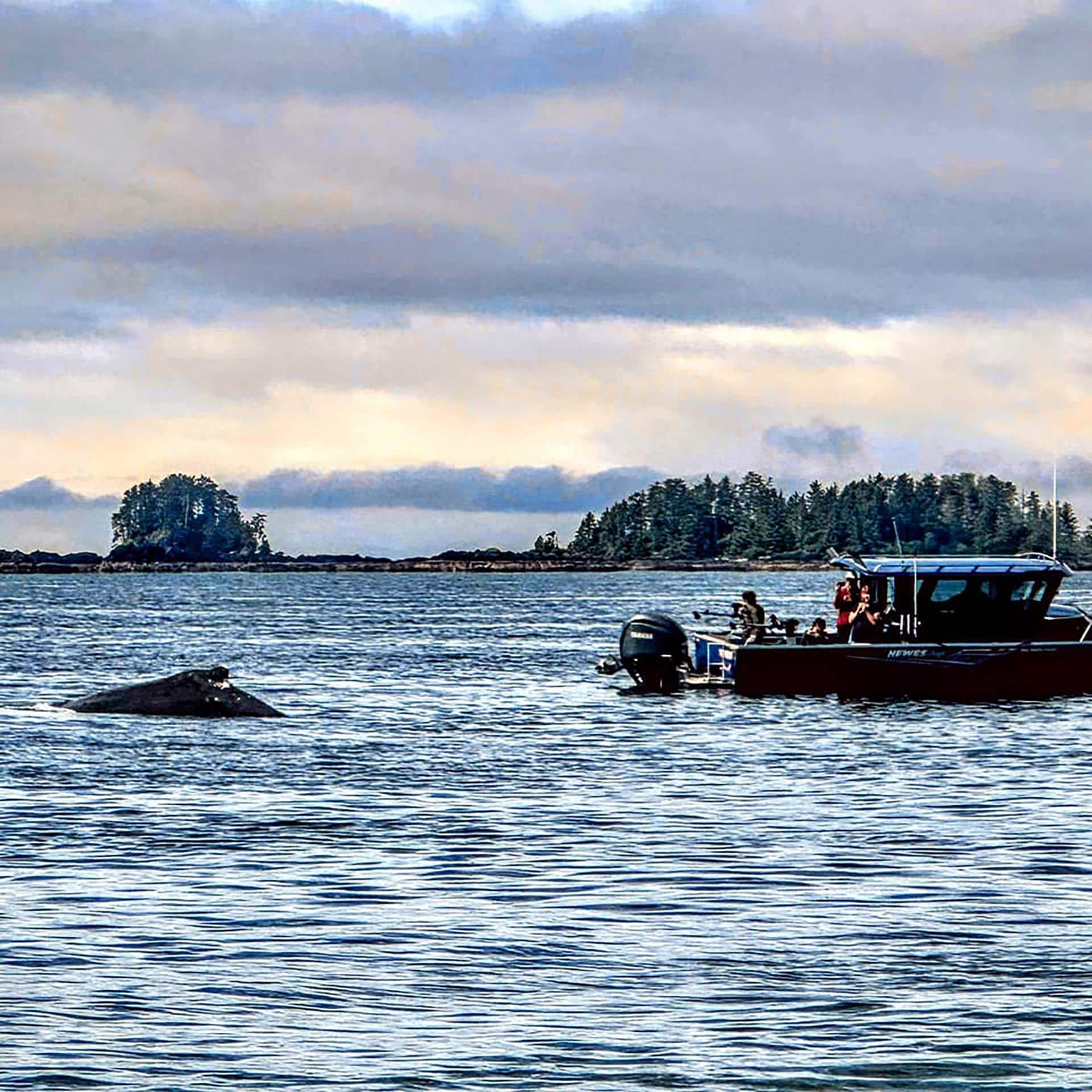 Body of water with a treeline on the far shore and a small boat docked at the right, under a cloudy sky.
