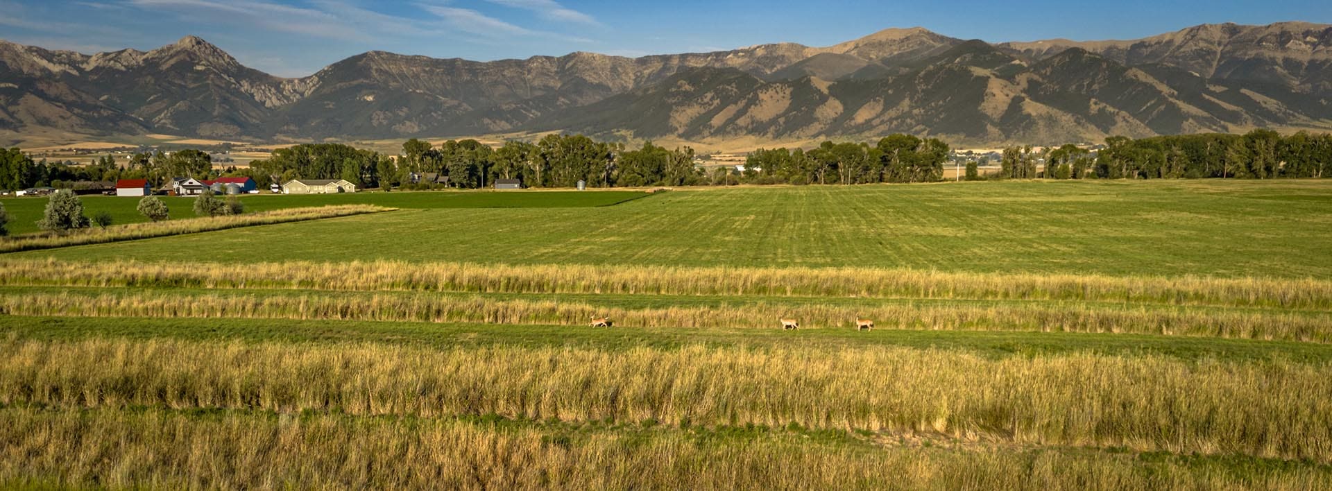 wildlife viewing land for sale montana penwell preserve