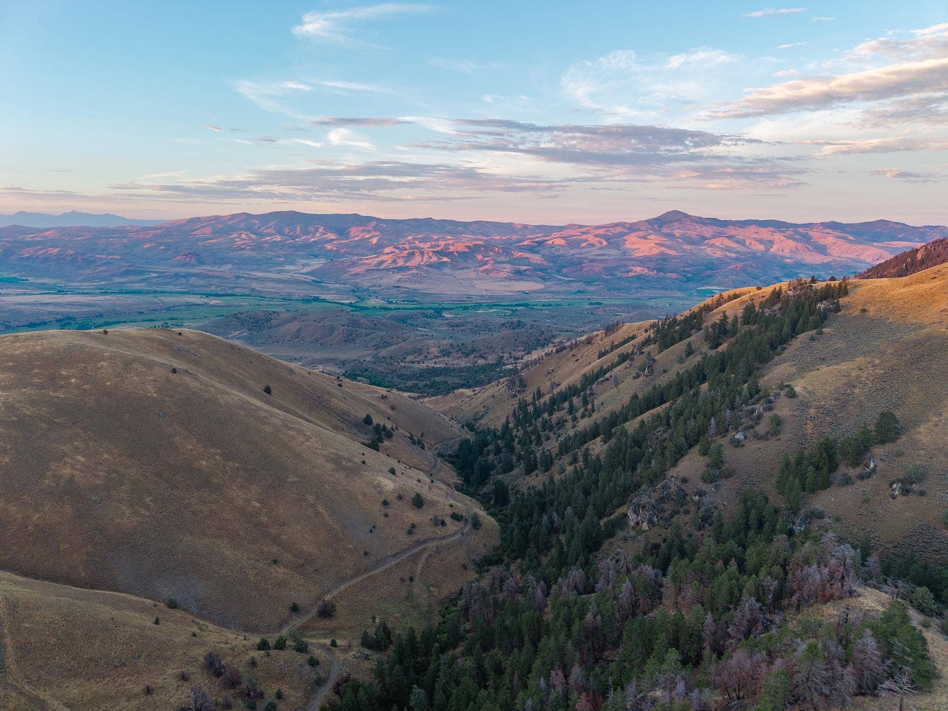 winding road through timbered valley hunting sporting property for sale oregon powell creek ranch