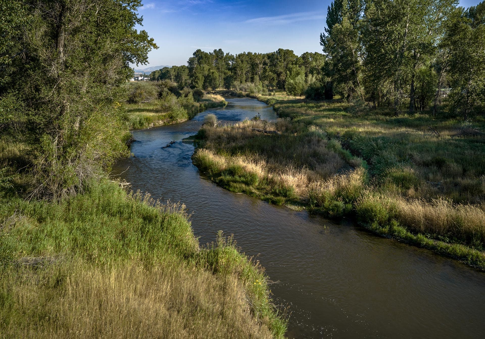 wooded river bank land for sale montana east gallatin riverlands
