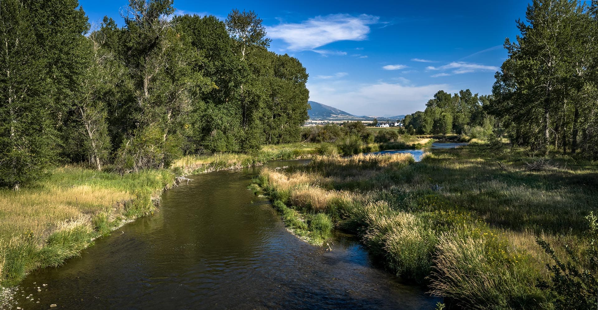 wooded river property with distant views for sale montana east gallatin riverlands