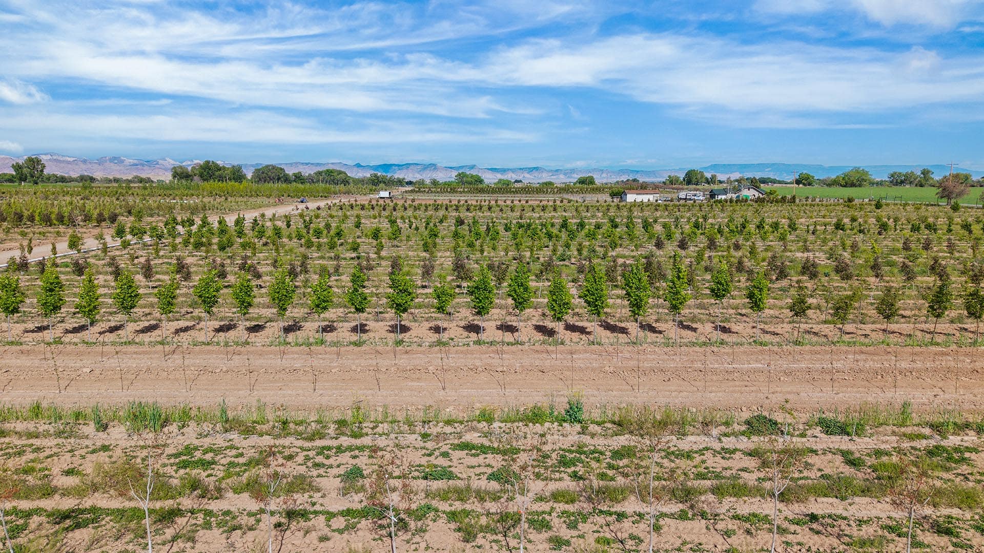 young plant nursery ranch for sale co valley grown nursery