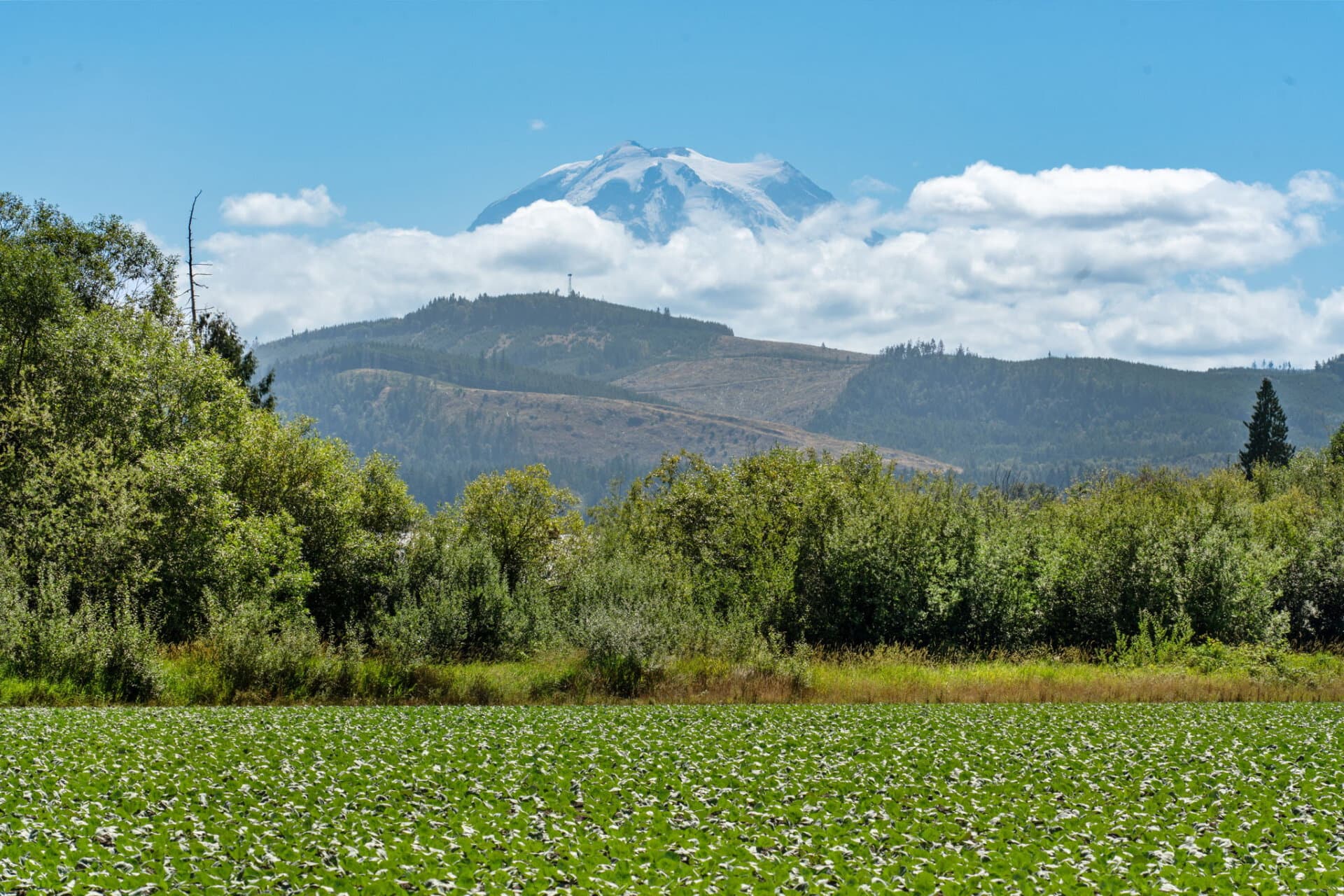Ag land with a view for sale Washington Mountain Harvest Farm