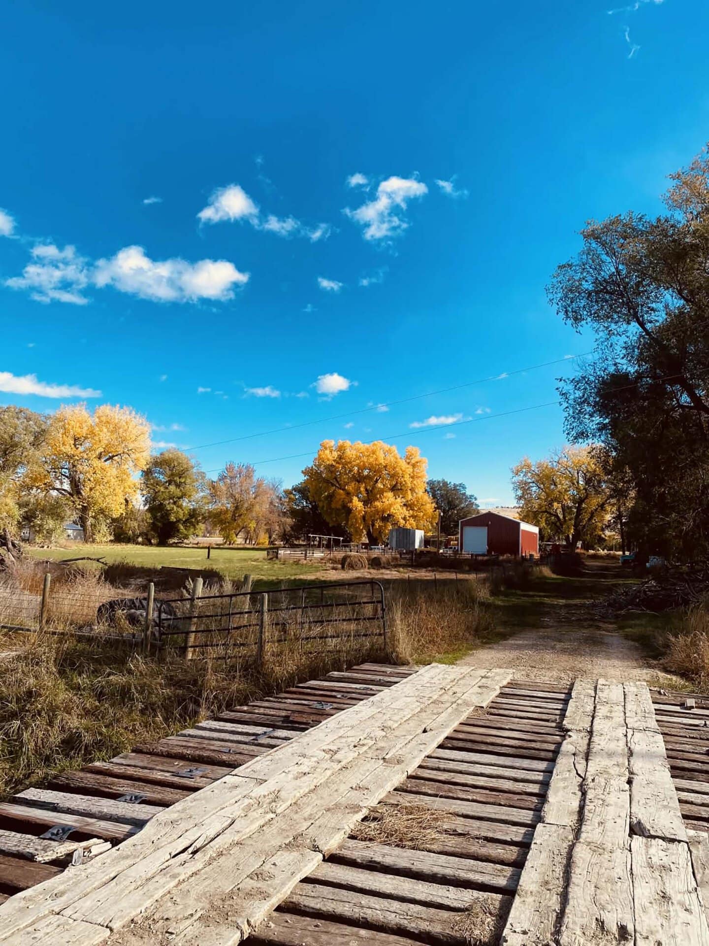 Bridge in fall Montana Clarks Fork Waterfowl Camp