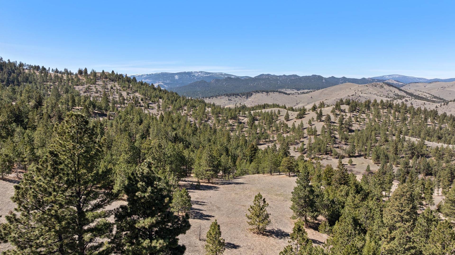 Buy Land Montana Near National Forest Elk Ridge hunting retreat