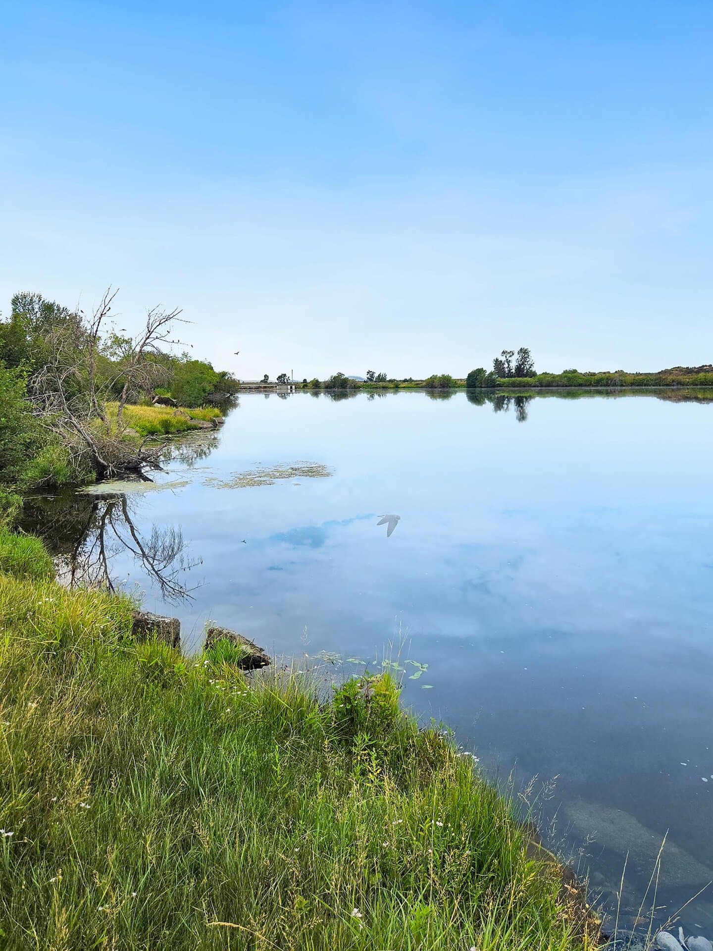 Chester Dam Backwater Idaho Chester Confluence Ranch