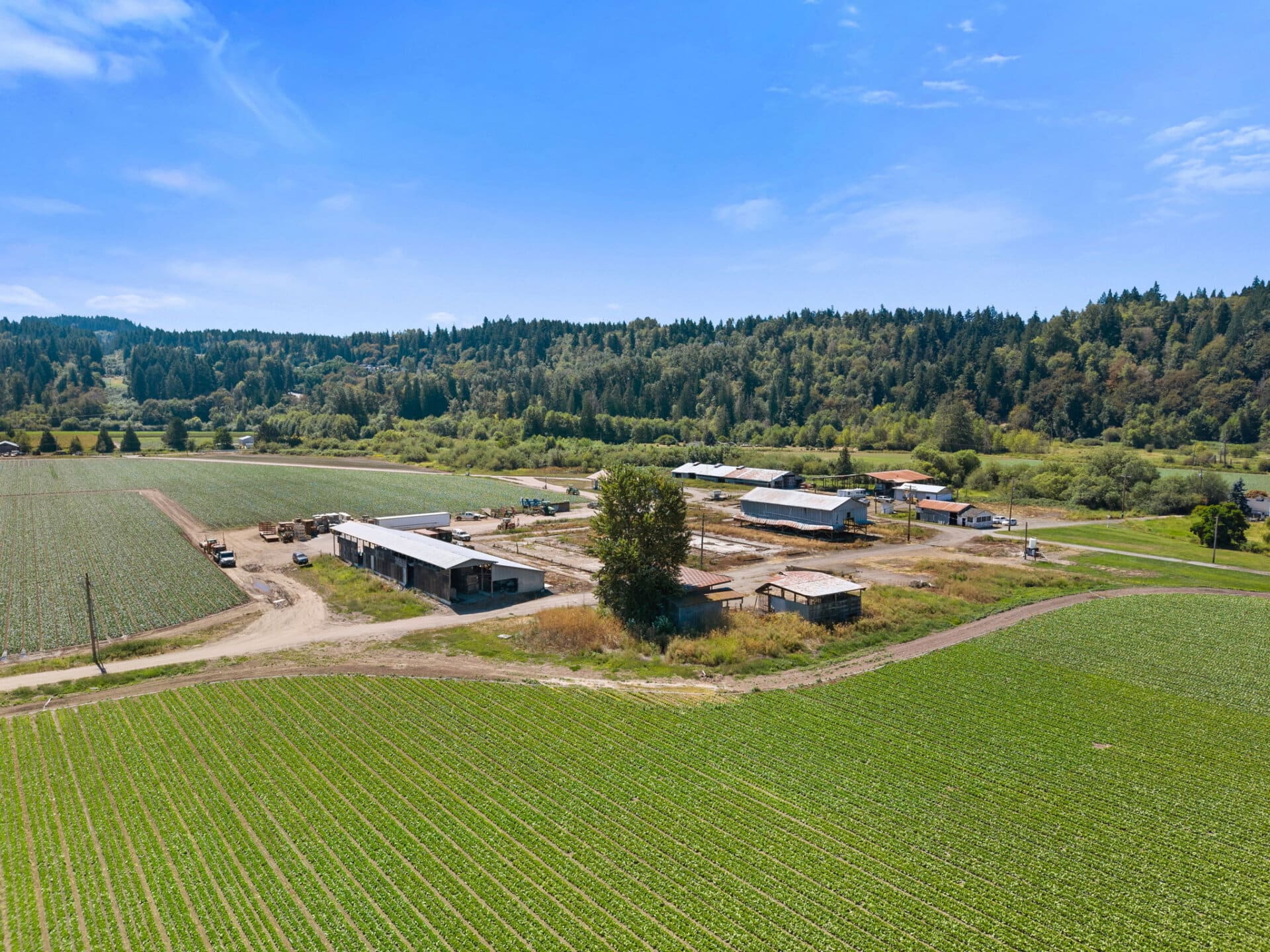 Commercial farmland for sale Washington Mountain Harvest Farm