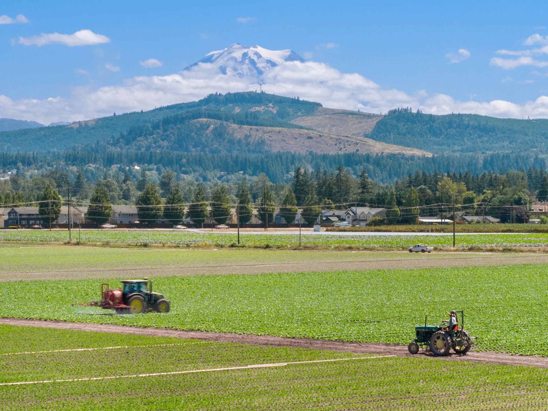 Crop fields for sale Washington Mountain Harvest Farm