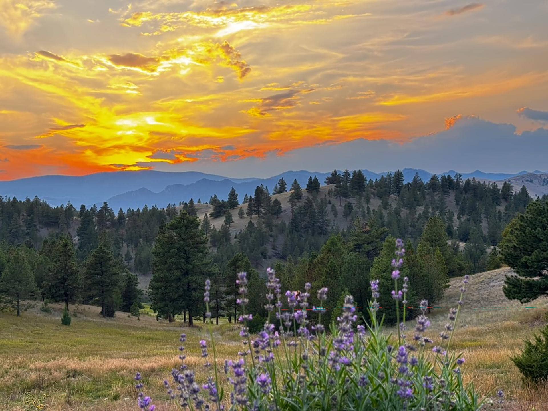 Expandable To 160 Acres Montana Property Elk Ridge hunting retreat