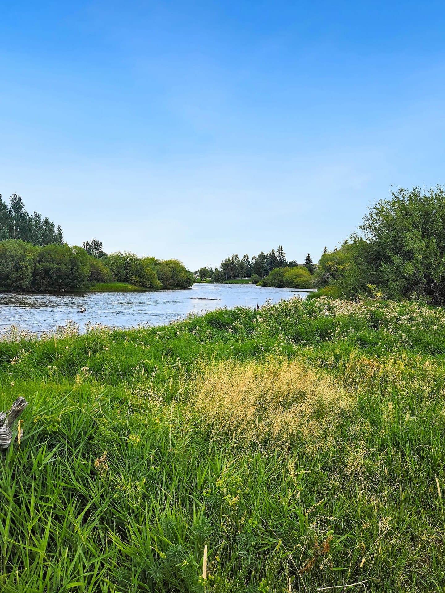 Fall River Idaho Chester Confluence Ranch