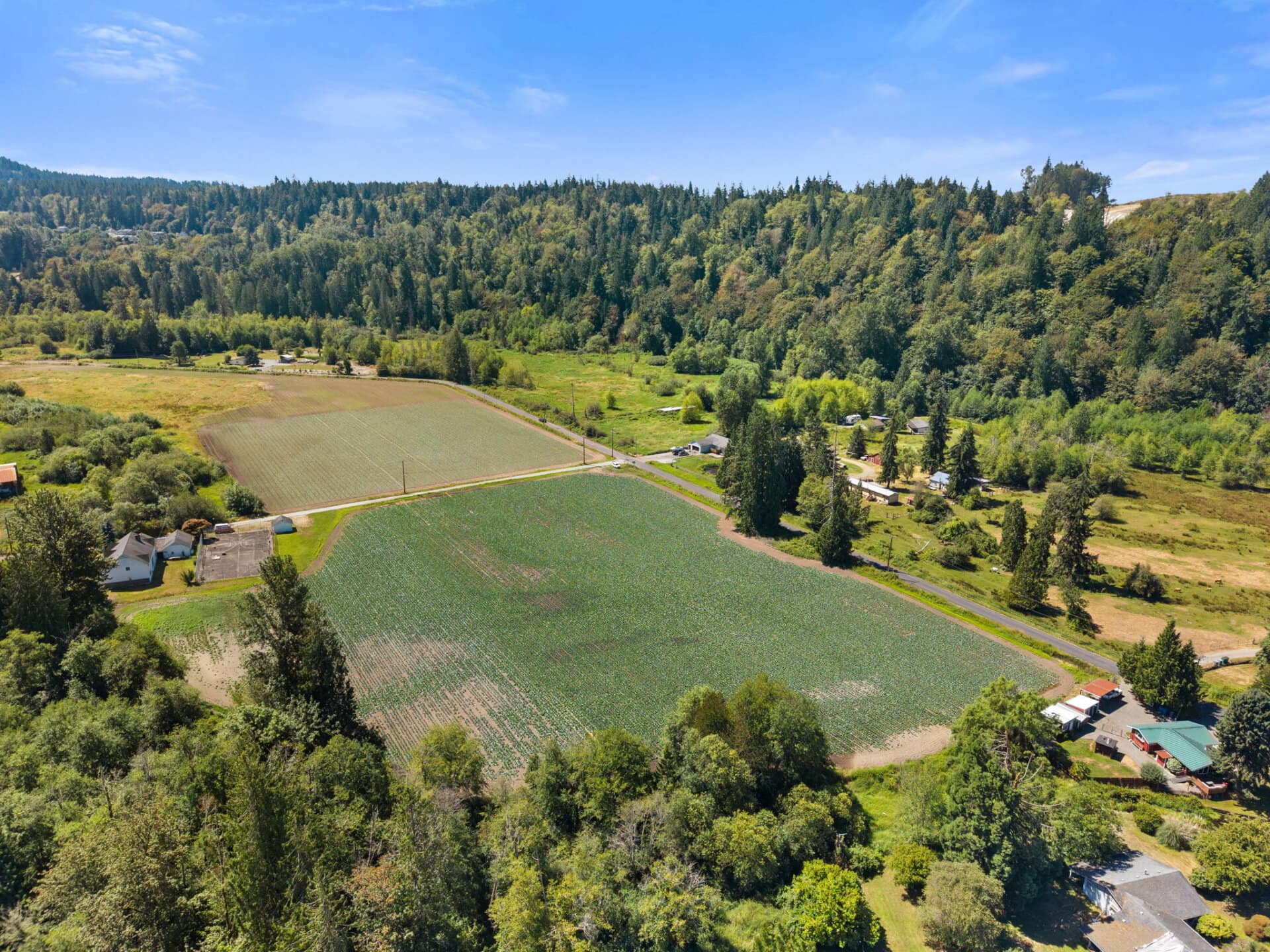 Forestry and fields for sale Washington Mountain Harvest Farm