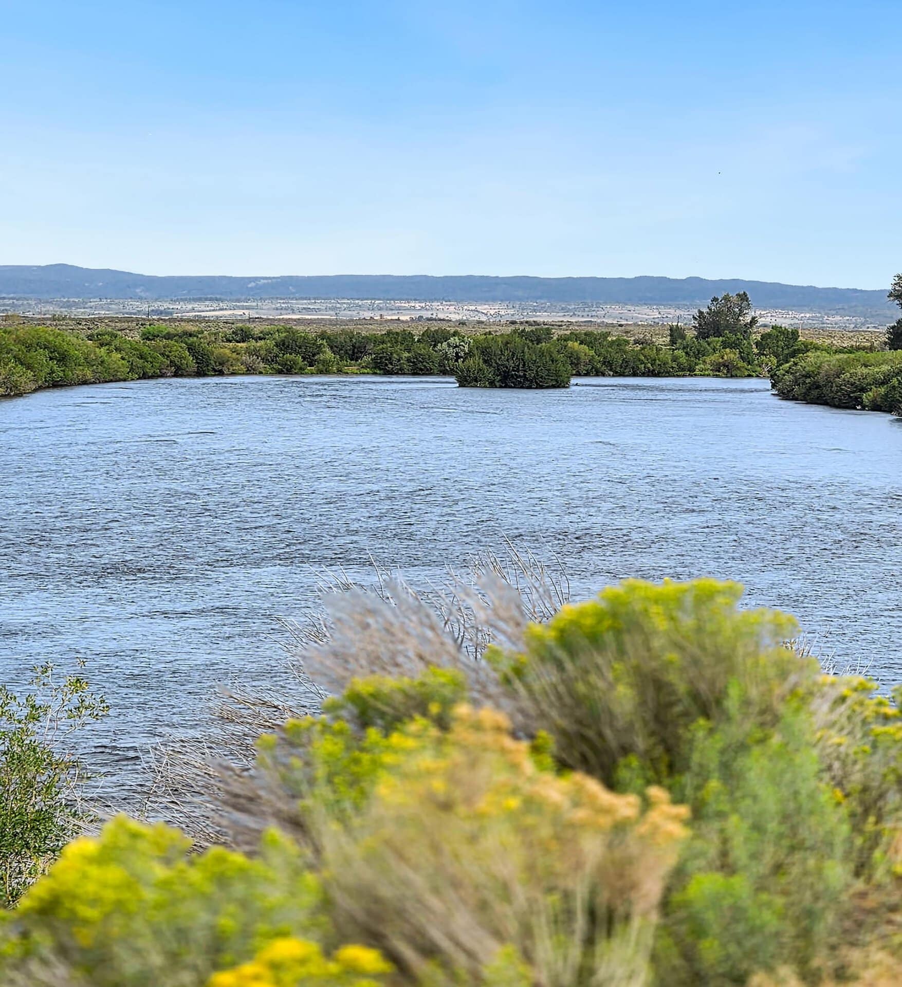 Henry's Fork Idaho Chester Confluence Ranch