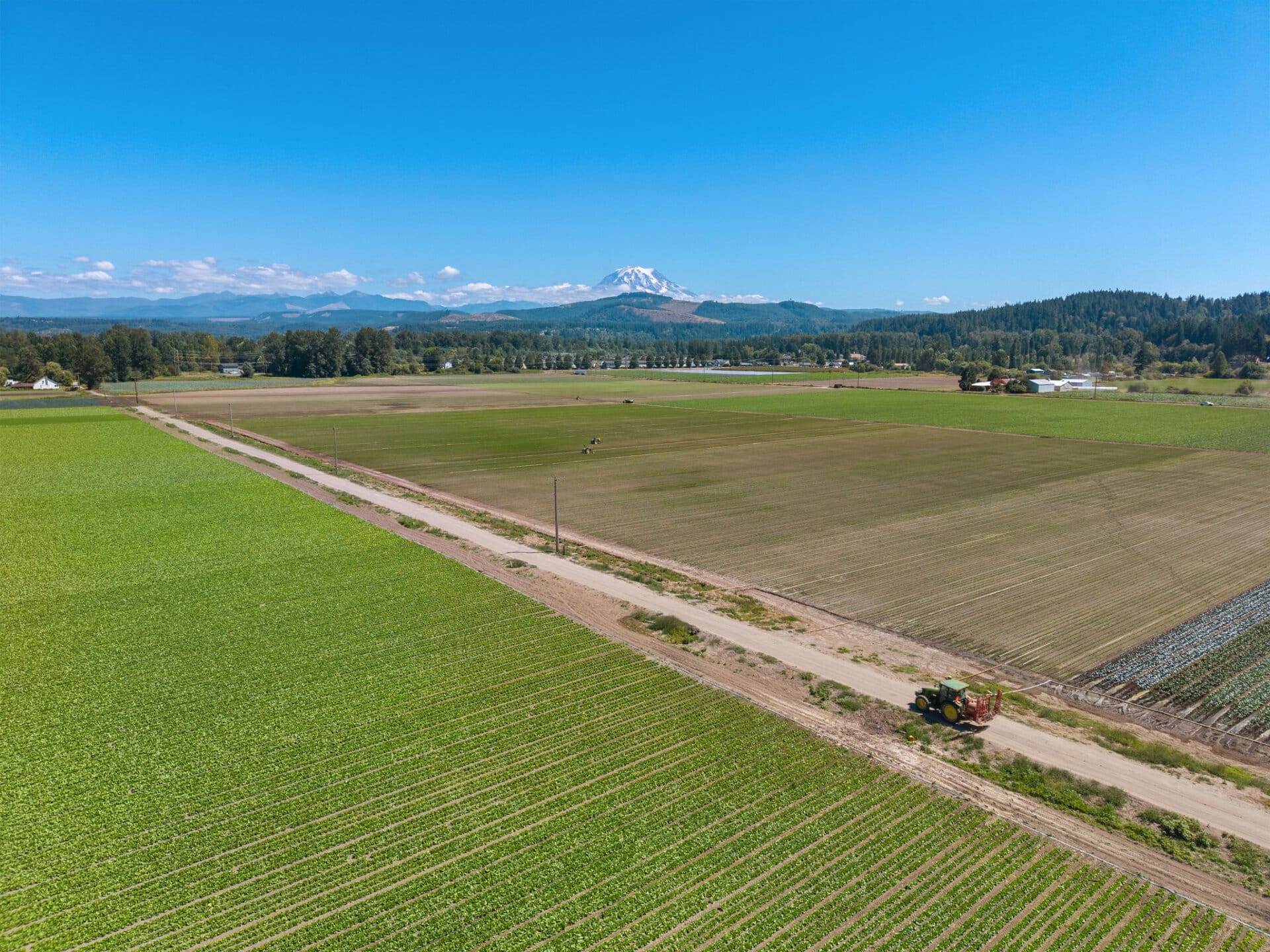 Income producing farm for sale Washington Mountain Harvest Farm