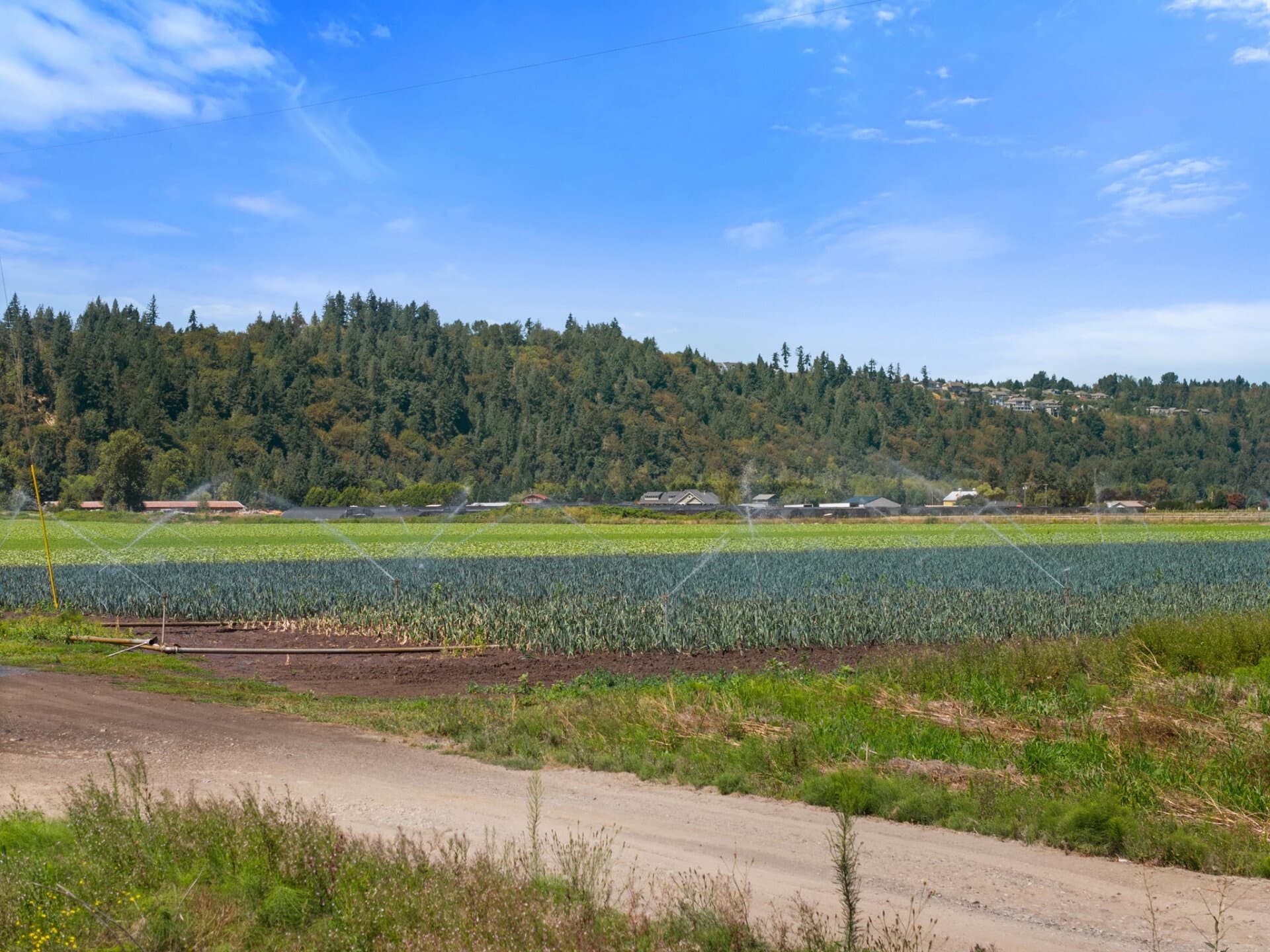 Irrigated farm land for sale Washington Mountain Harvest Farm