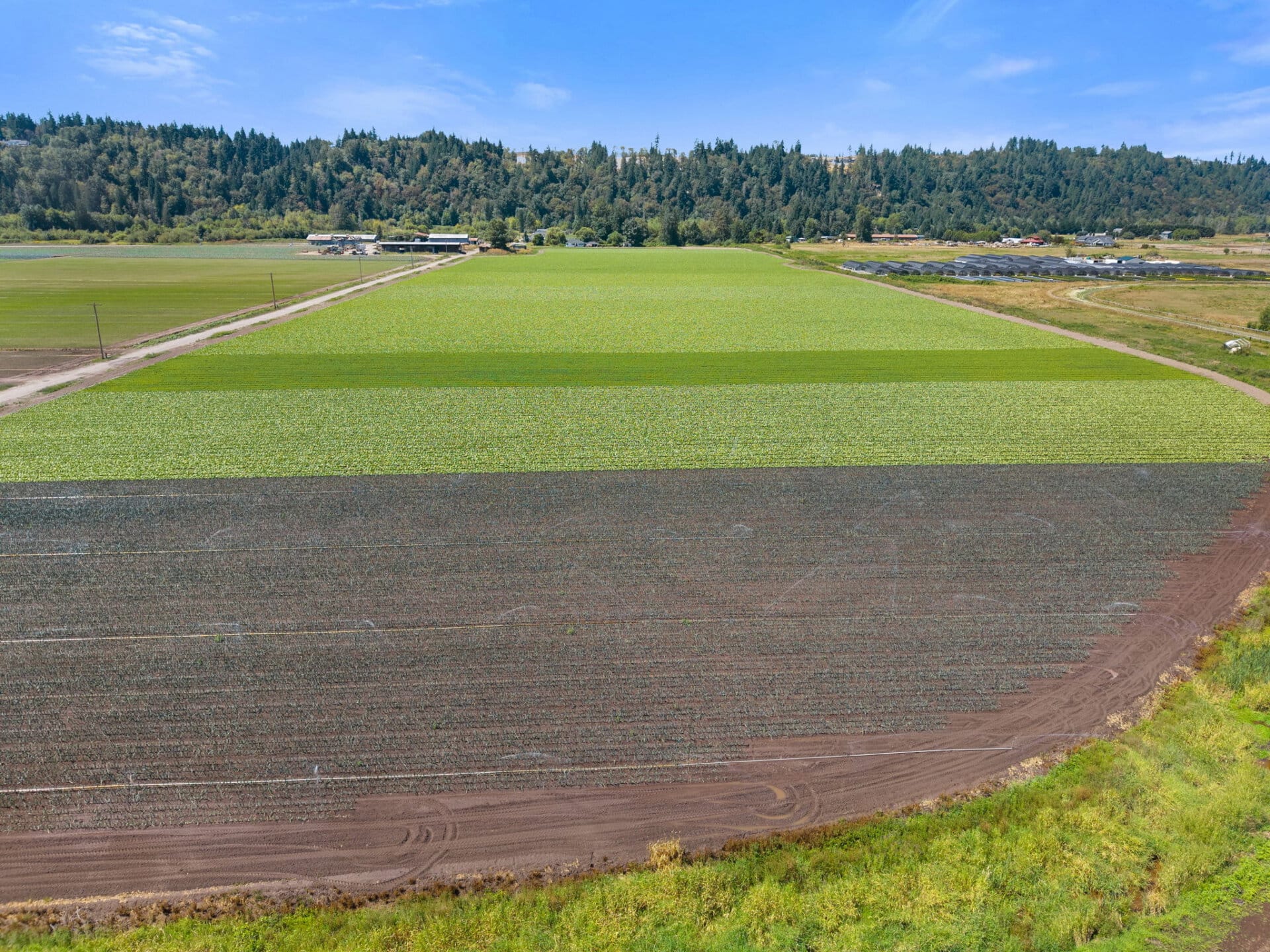 Level agricultural land for sale Washington Mountain Harvest Farm
