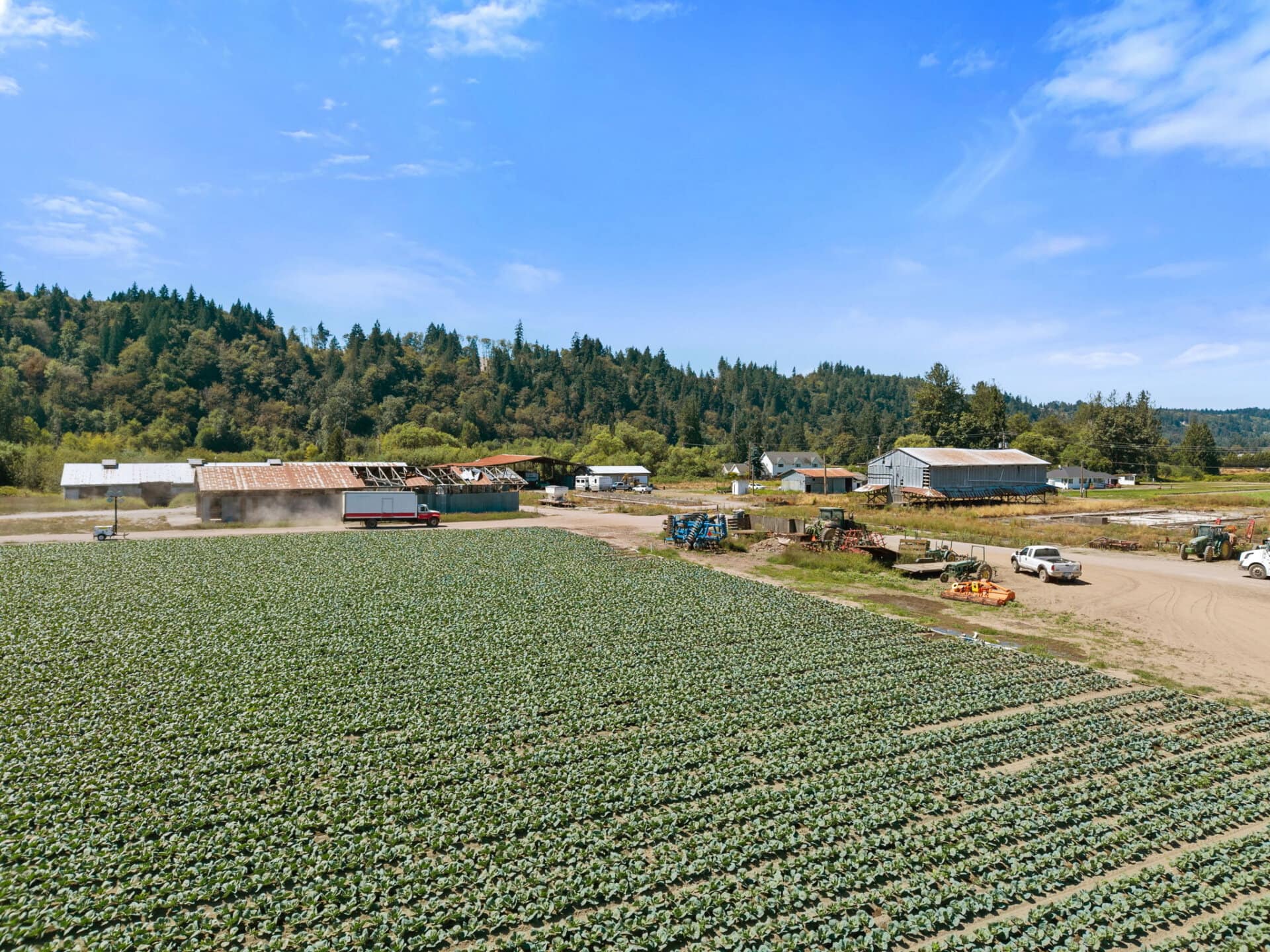 Lucious crop fields for sale Washington Mountain Harvest Farm