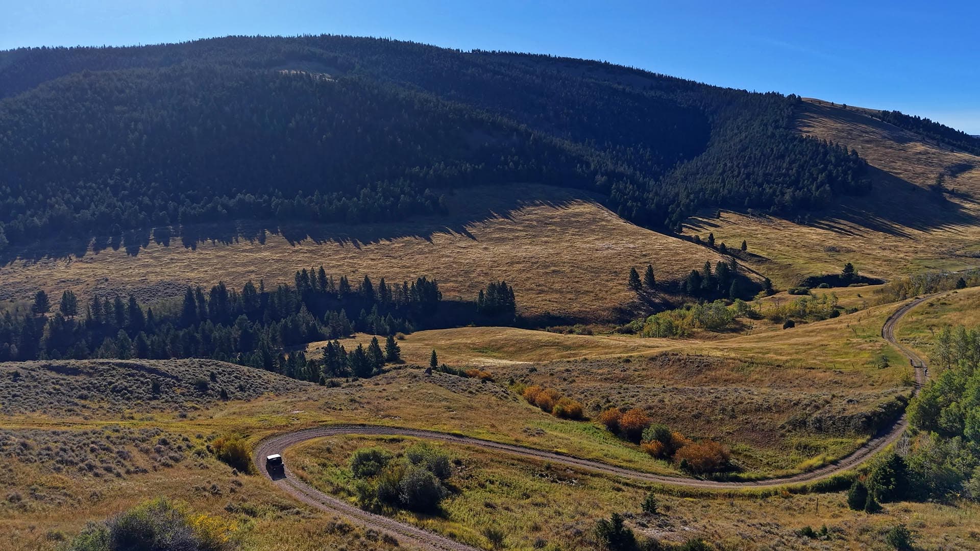 Montana Elk Habitat Montana Small Horn Canyon Ranch