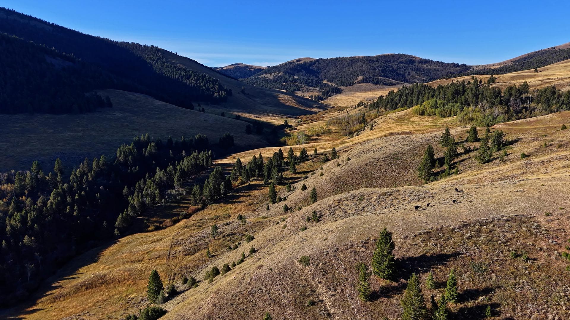 Montana Grazing Land Montana Small Horn Canyon Ranch