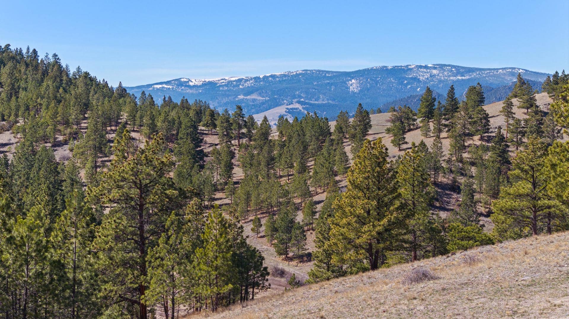 Montana Home Office With Divide Views Elk Ridge hunting retreat