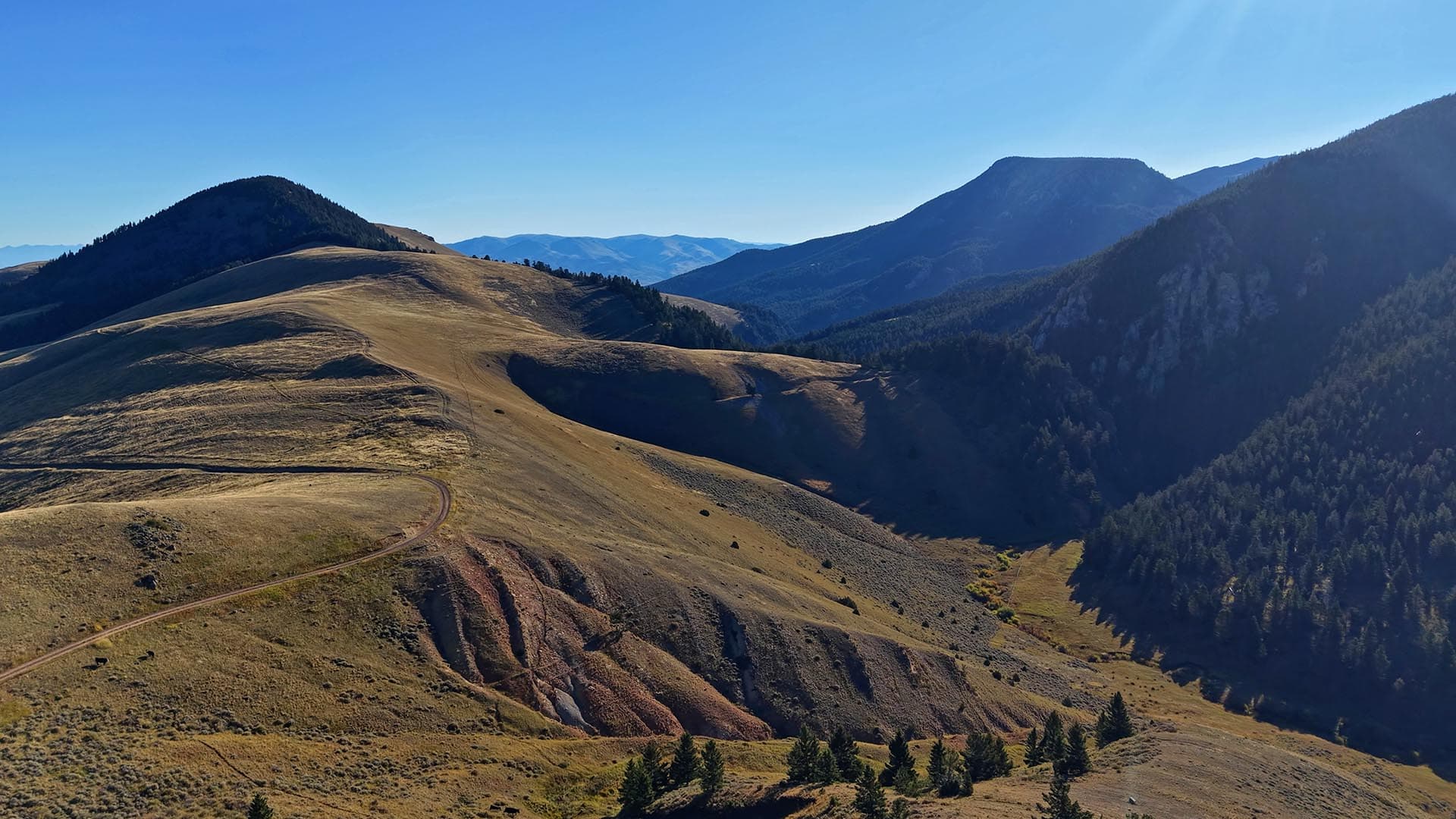 Montana Native Grasslands Montana Small Horn Canyon Ranch