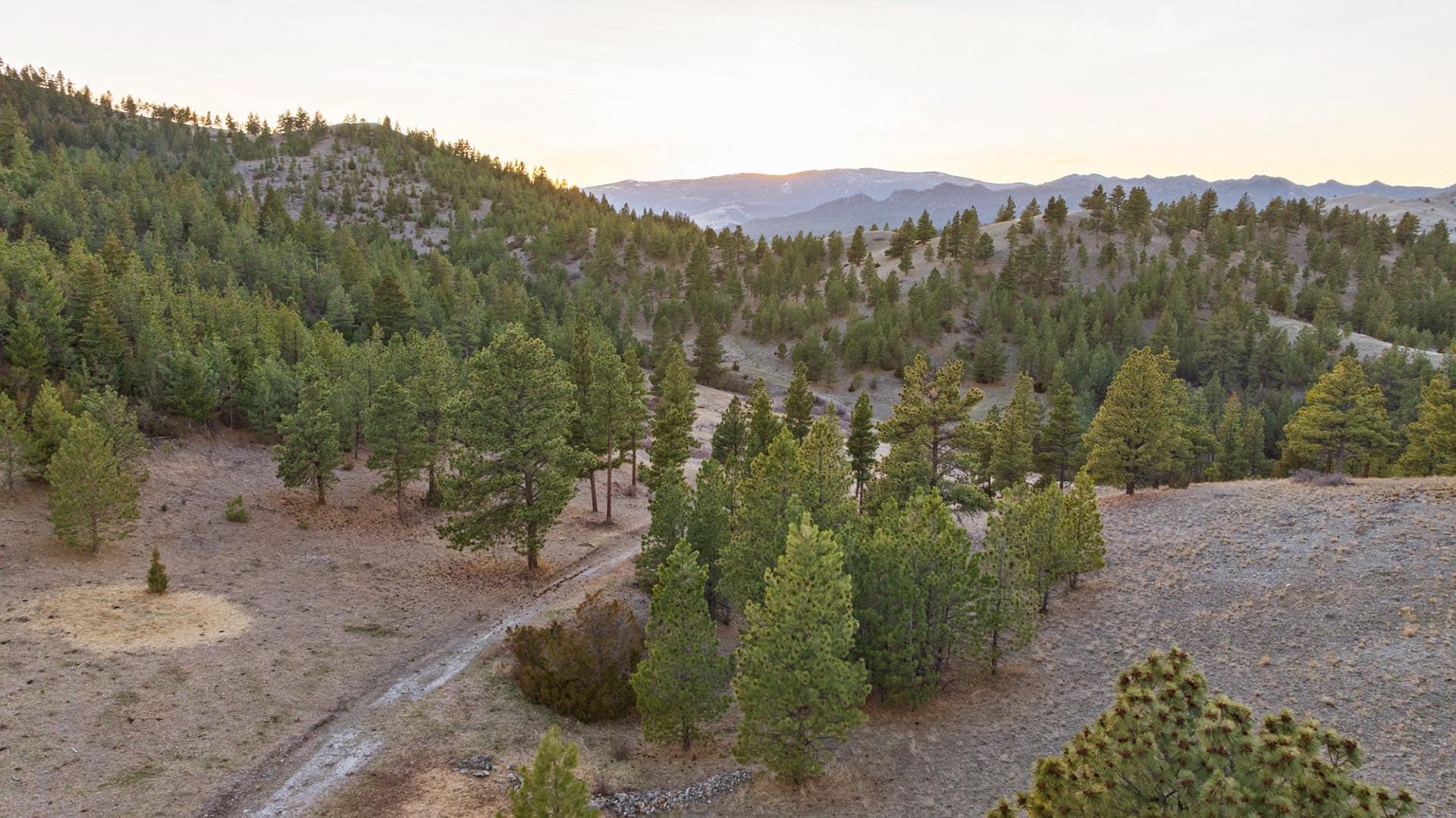 Montana Off-Grid Capable Property With Well Elk Ridge hunting retreat