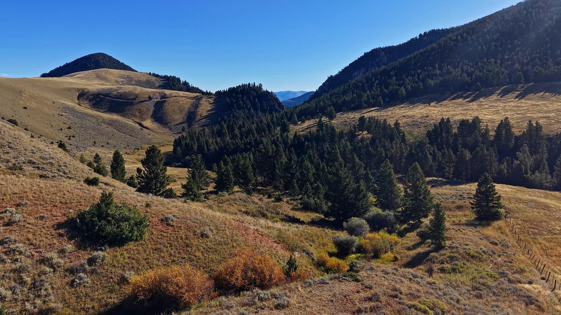 Montana Pasture Land Montana Small Horn Canyon Ranch