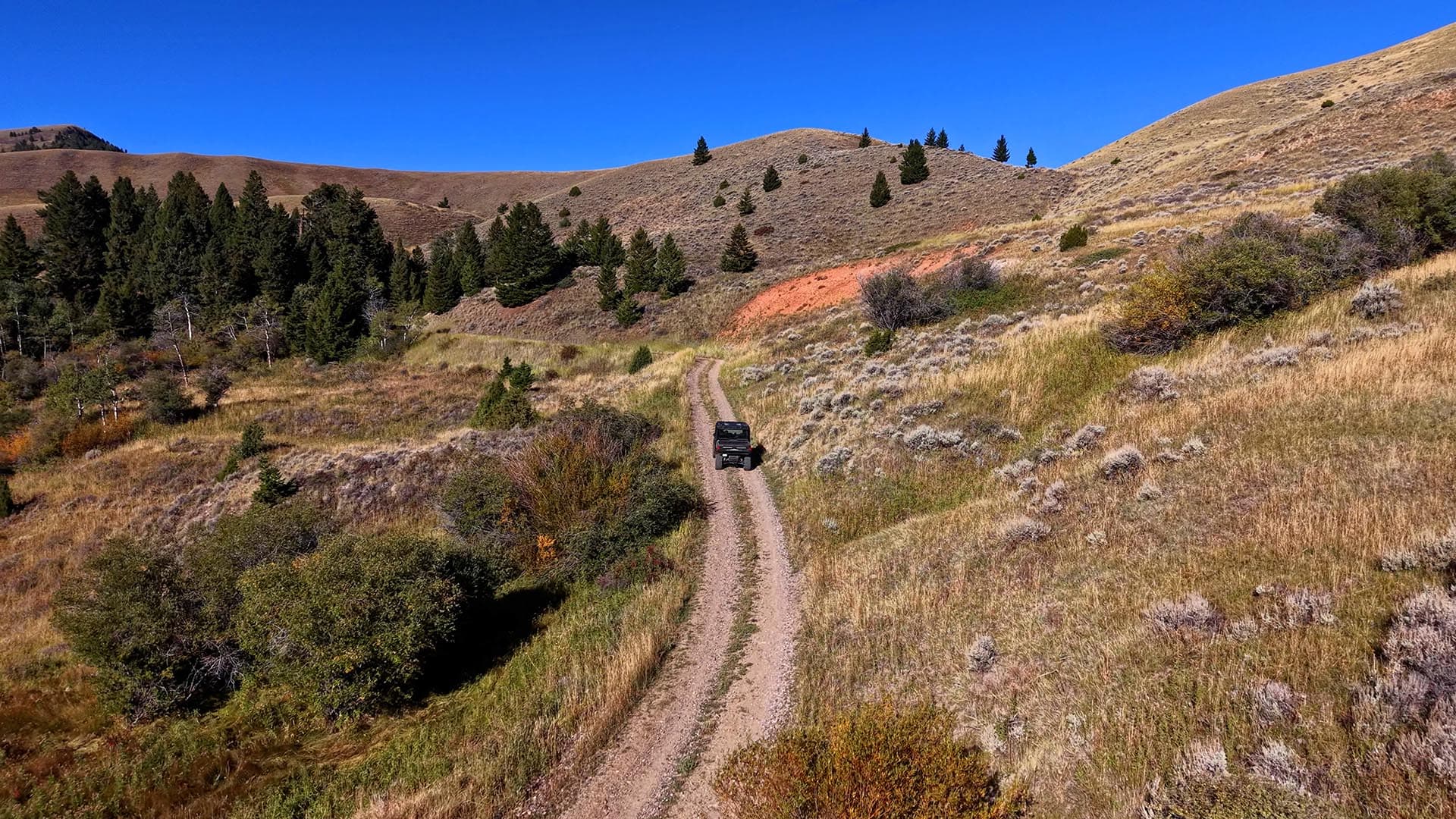 Montana Wildlife Habitat Montana Small Horn Canyon Ranch