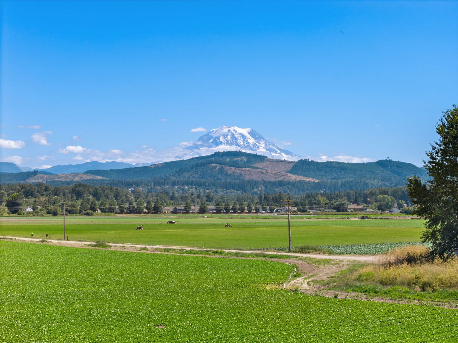 Mountain view land for sale Washington Mountain Harvest Farm