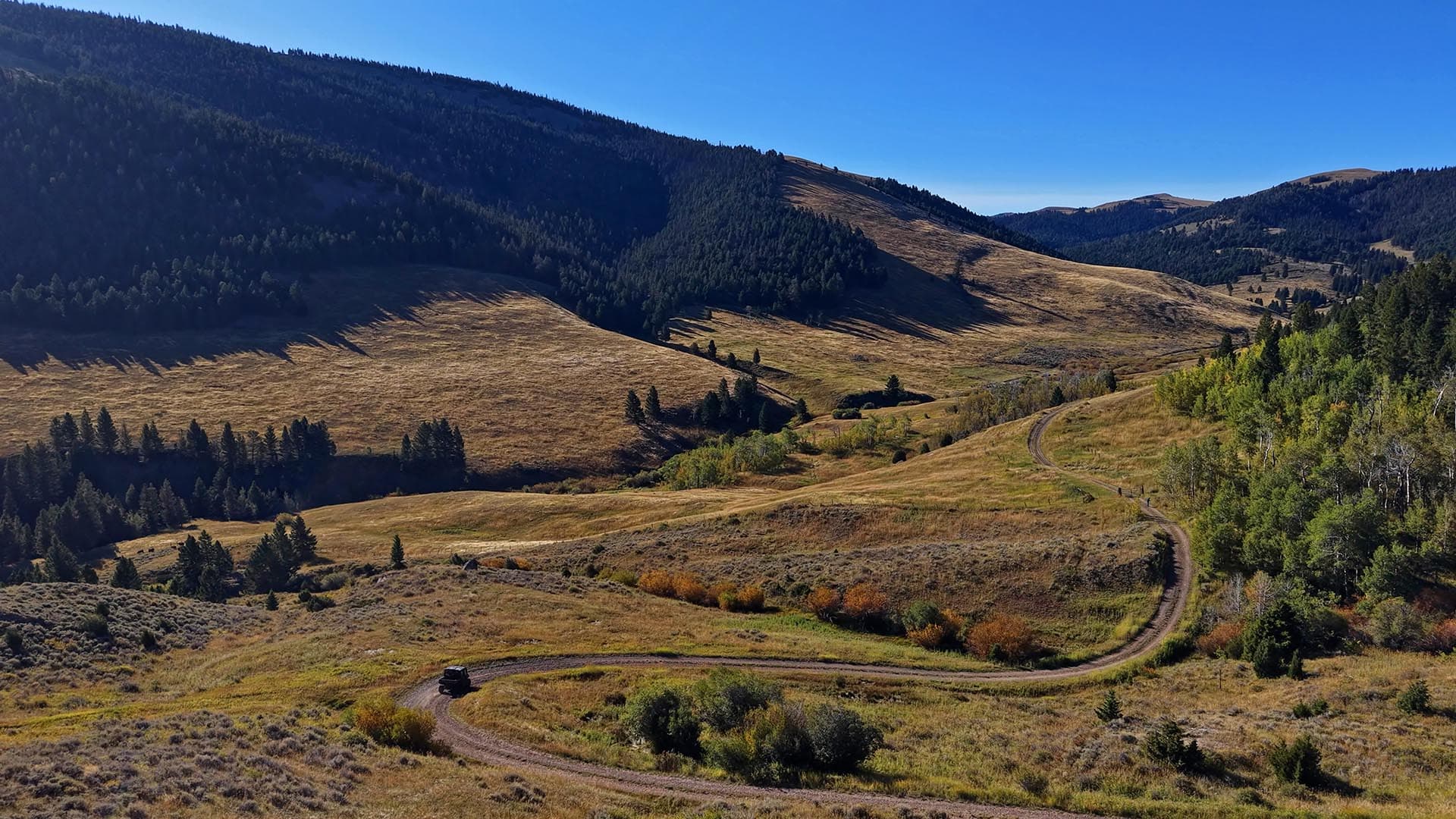Mule Deer Hunting Montana Small Horn Canyon Ranch