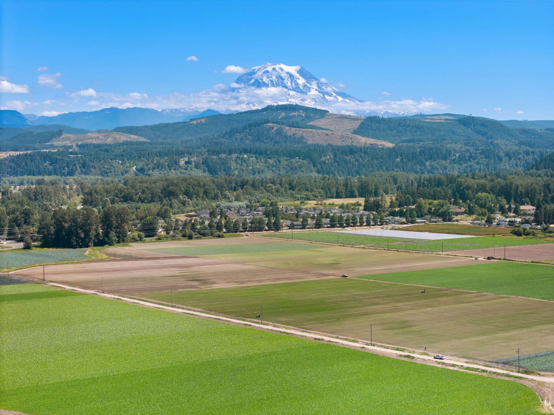 Multiple crop fields for sale Washington Mountain Harvest Farm