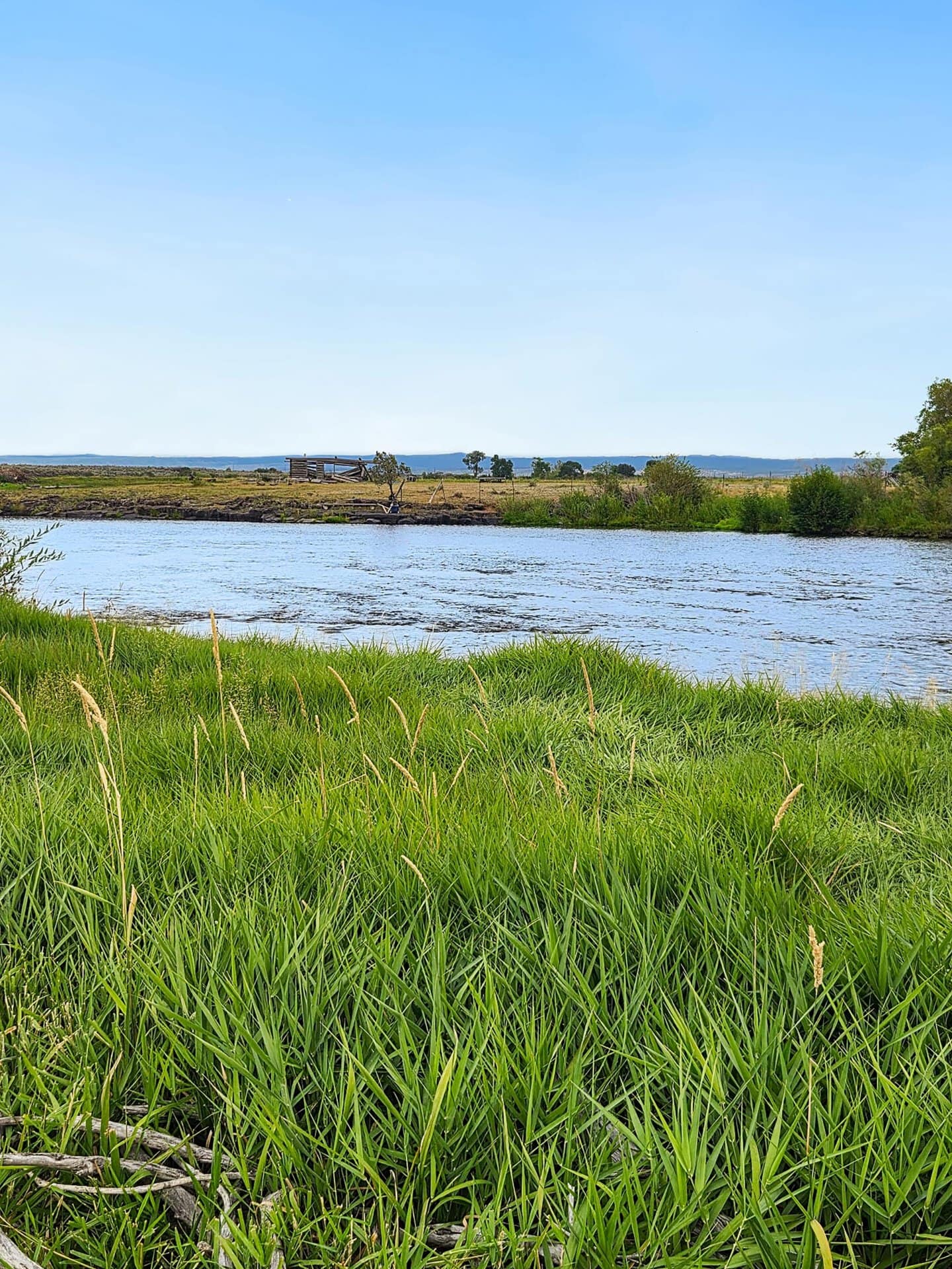 Old Homestead Idaho Chester Confluence Ranch