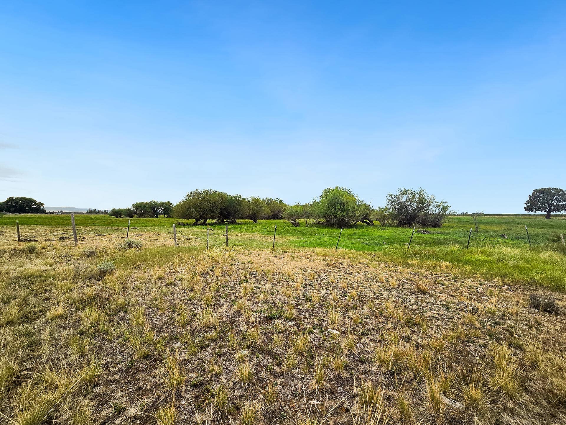 Pasture Idaho Chester Confluence Ranch.